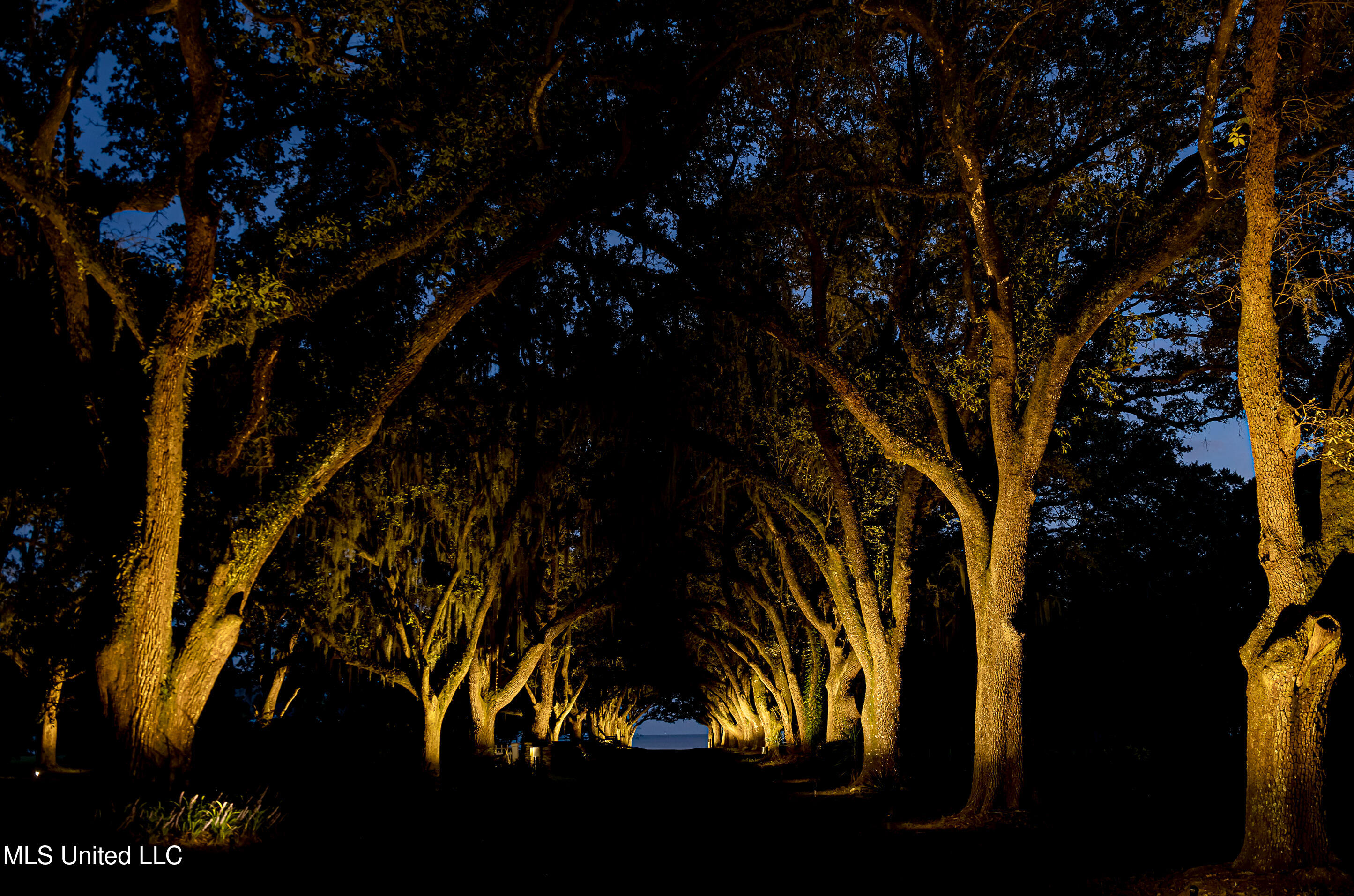 Lot 3 Pointe Aux Chenes Road Ocean Springs, MS 39564 - Photo 17 of 21 5F5A3834