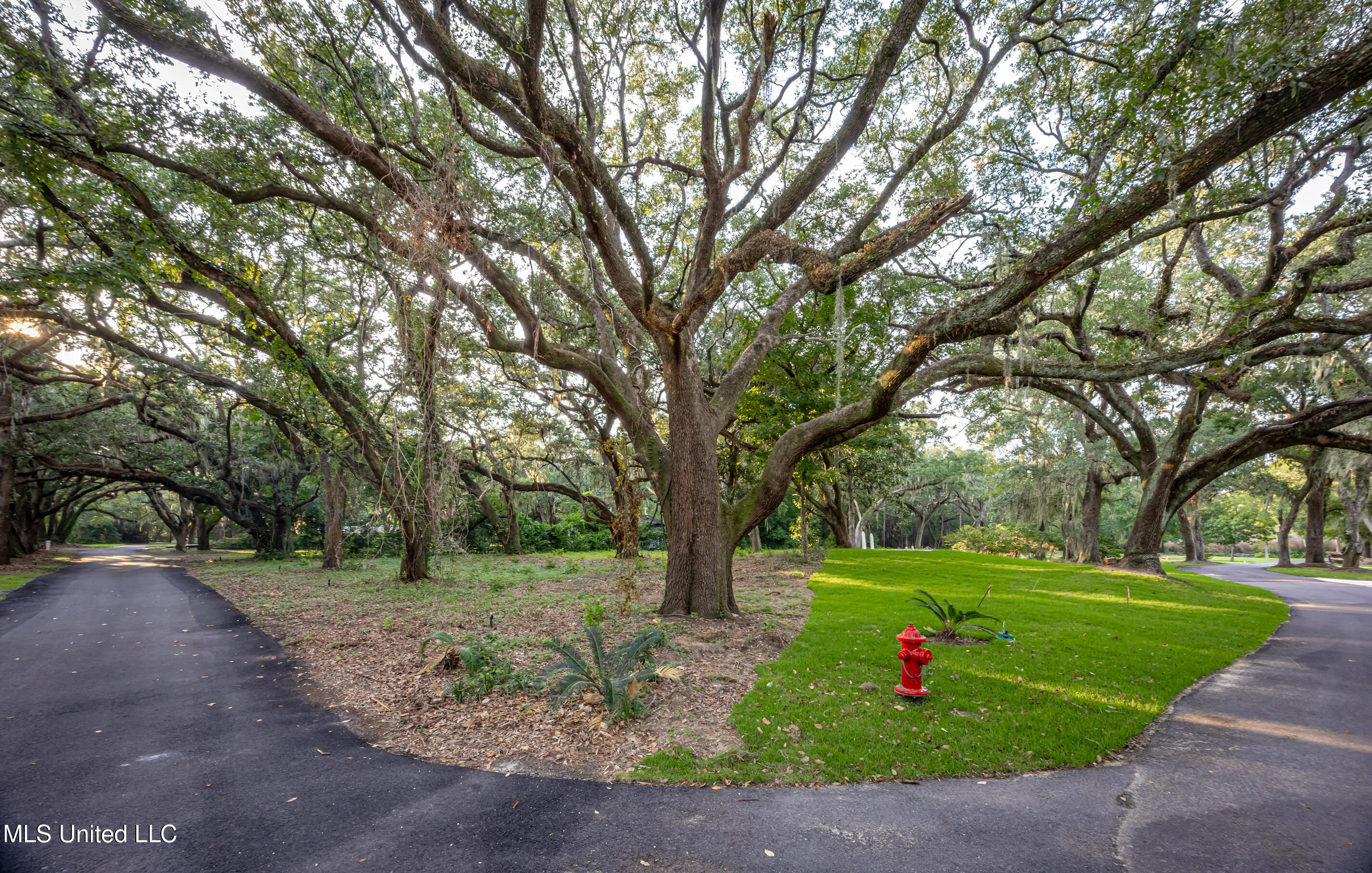 Lot 3 Pointe Aux Chenes Road Ocean Springs, MS 39564 - Photo 19 of 21 5F5A5274-2