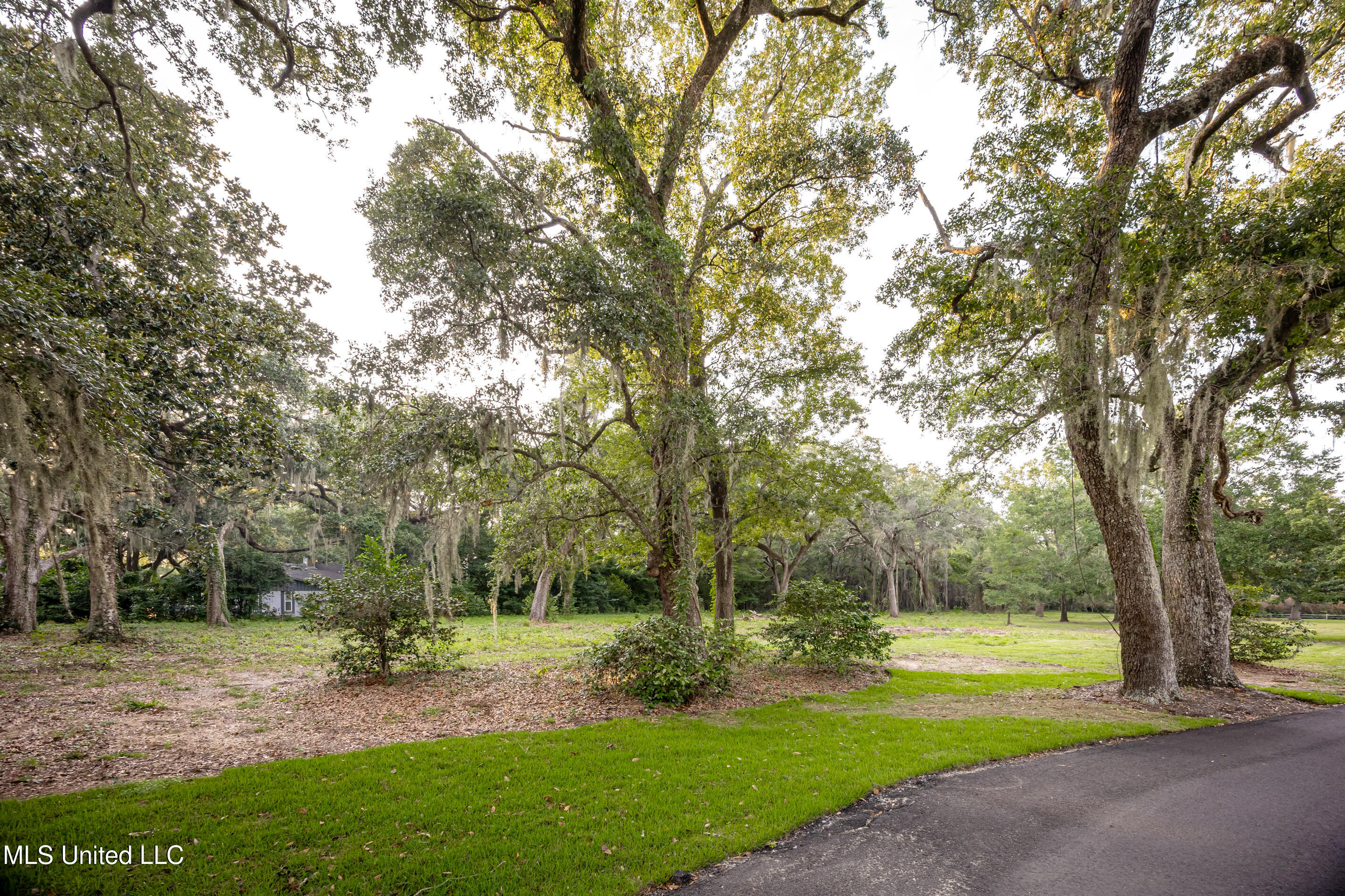 Lot 3 Pointe Aux Chenes Road Ocean Springs, MS 39564 - Photo 20 of 21 5F5A5325-2