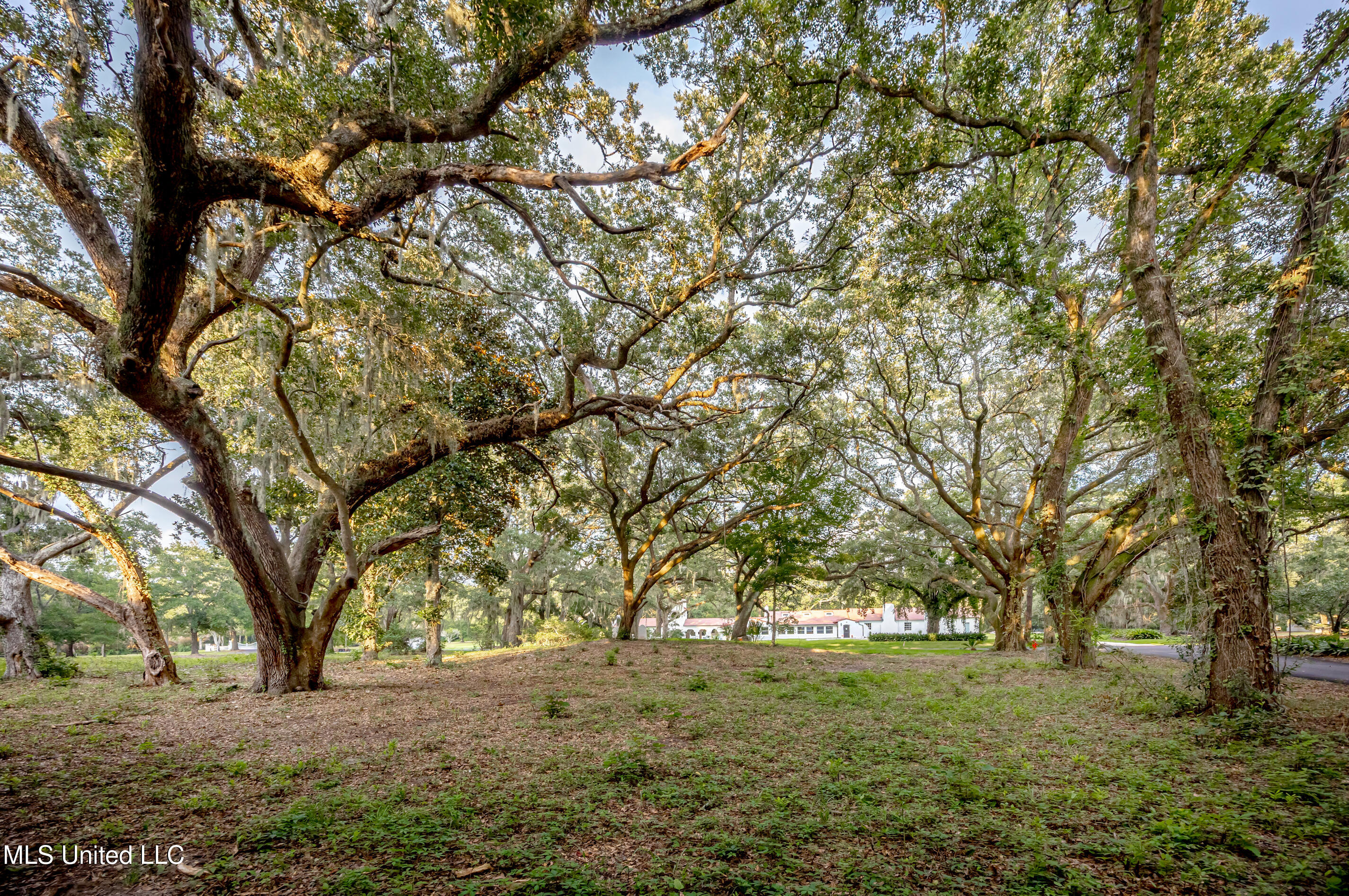 Lot 3 Pointe Aux Chenes Road Ocean Springs, MS 39564 - Photo 2 of 21 5F5A5256-2