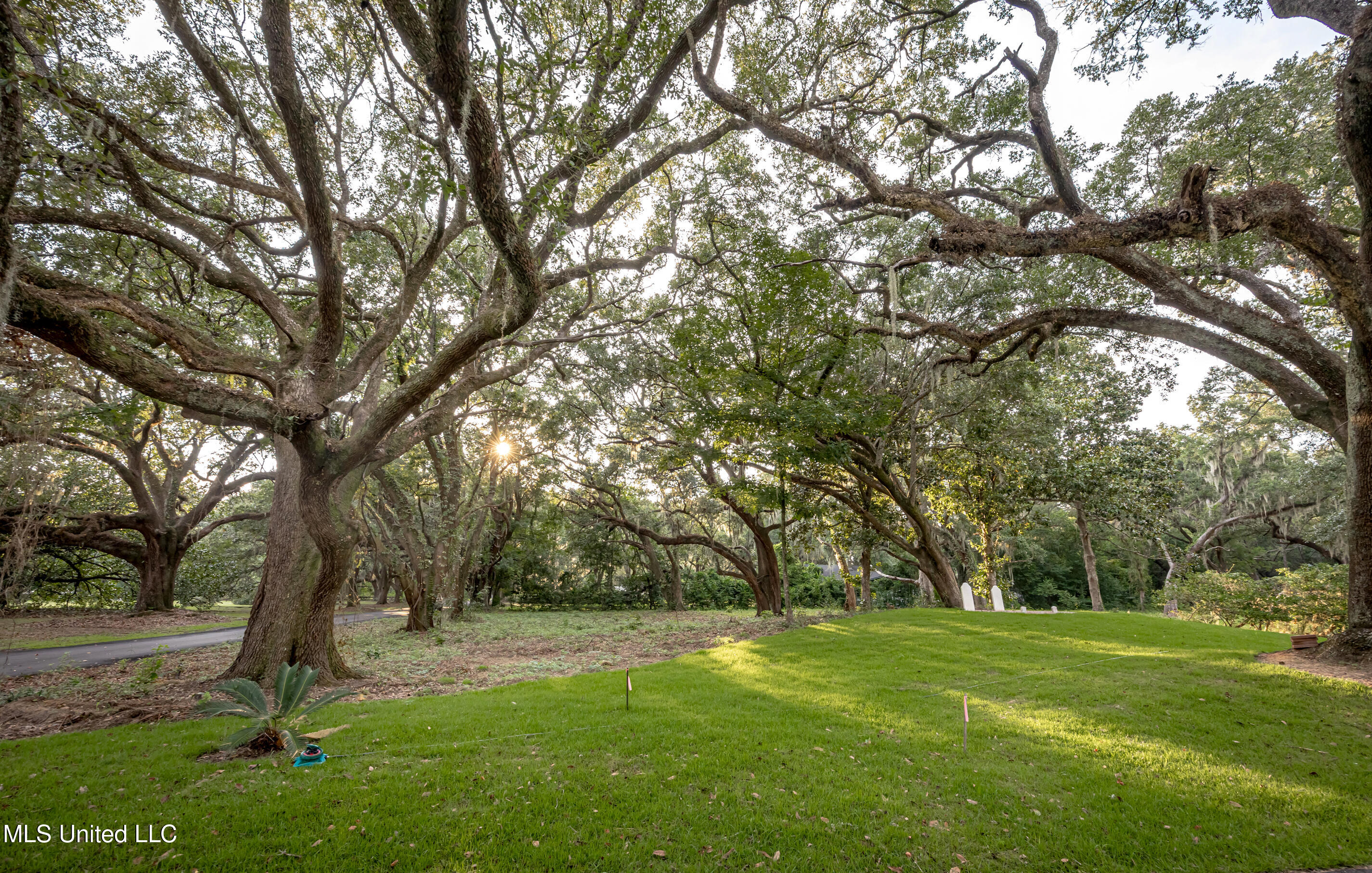 Lot 3 Pointe Aux Chenes Road Ocean Springs, MS 39564 - Photo 21 of 21 5F5A5283-2