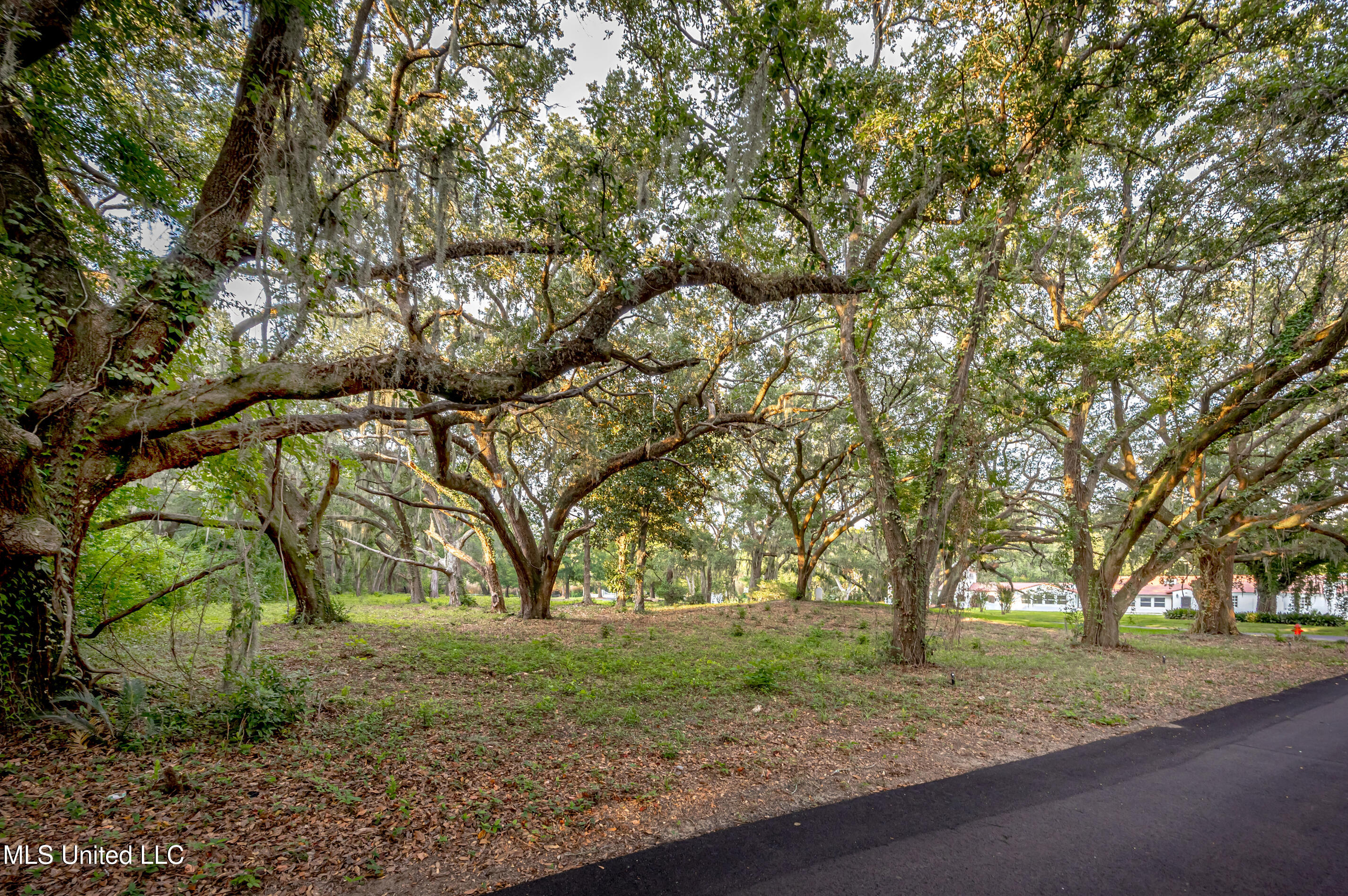 Lot 3 Pointe Aux Chenes Road Ocean Springs, MS 39564 - Photo 3 of 21 5F5A5259-2