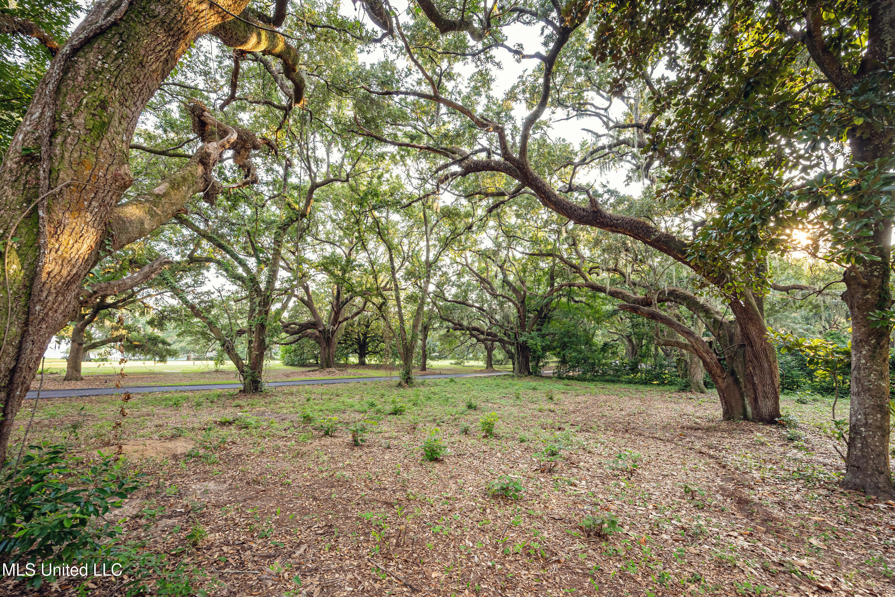 Lot 3 Pointe Aux Chenes Road Ocean Springs, MS 39564 - Photo 4 of 21 5F5A5313-2