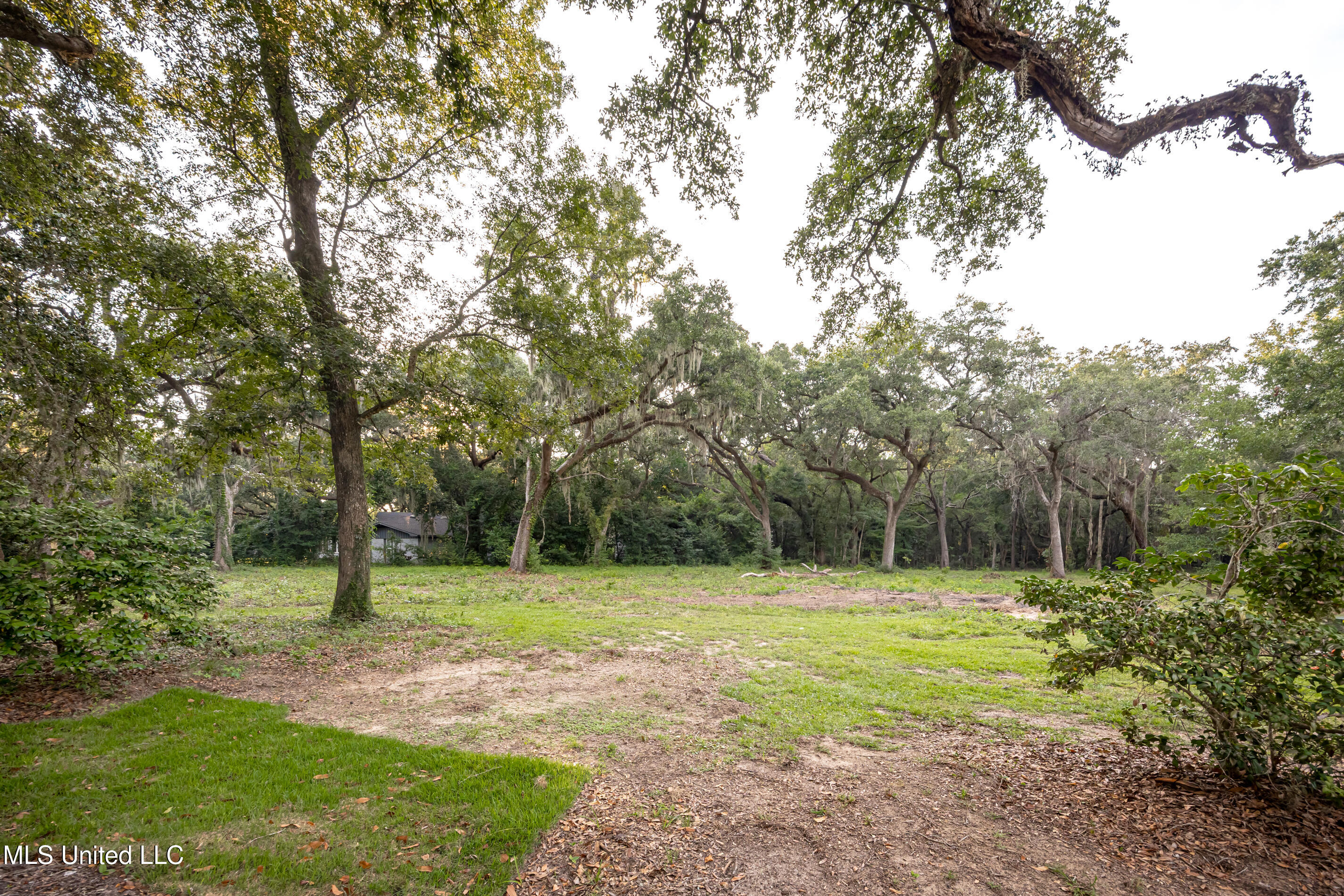 Lot 3 Pointe Aux Chenes Road Ocean Springs, MS 39564 - Photo 5 of 21 5F5A5328-2
