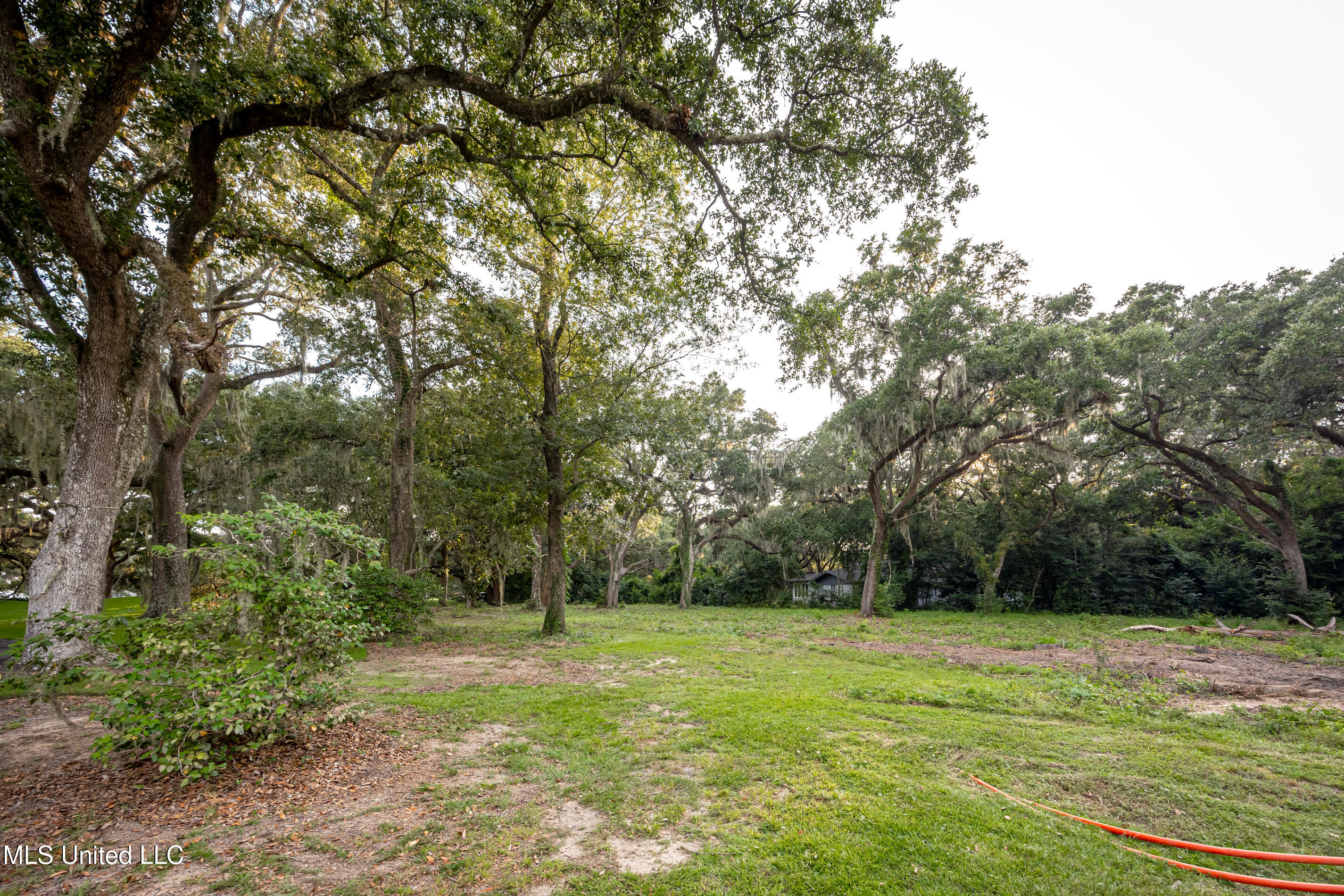 Lot 3 Pointe Aux Chenes Road Ocean Springs, MS 39564 - Photo 6 of 21 5F5A5331-2