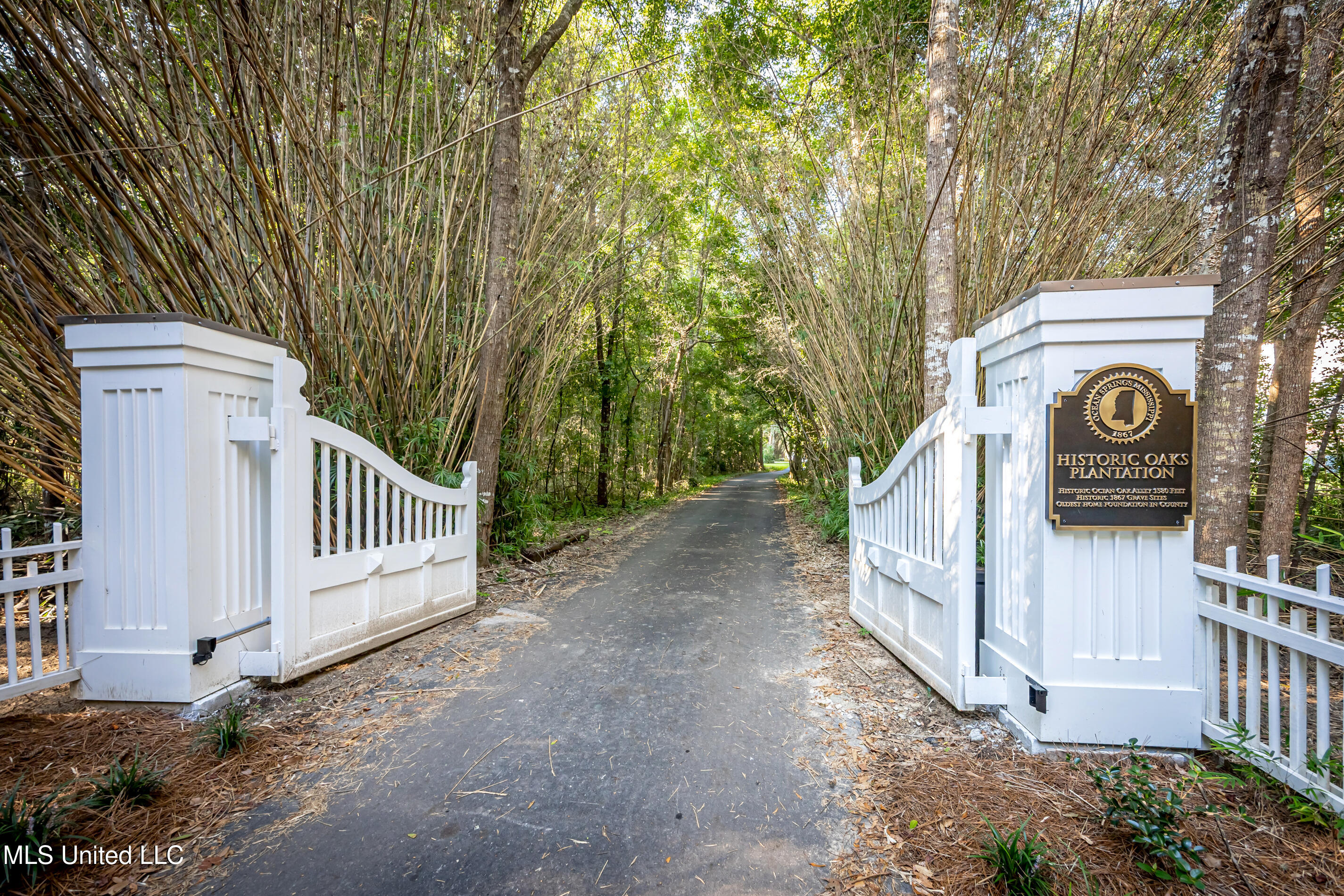 Lot 3 Pointe Aux Chenes Road Ocean Springs, MS 39564 - Photo 8 of 21 IMG_7293-2