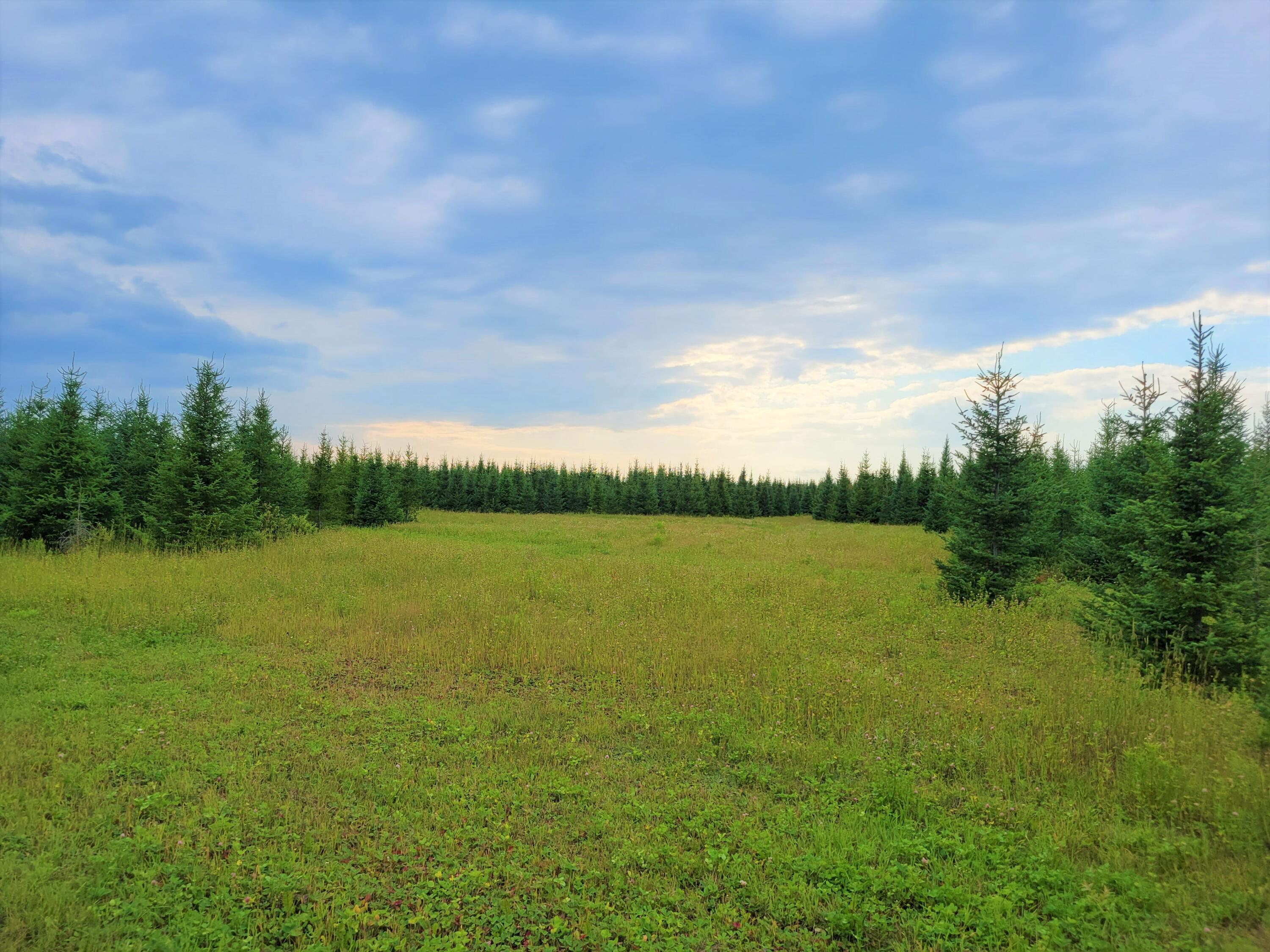 Map38-lot3 Doucette Road Grand Isle, ME 04746 - Photo 20 of 25 4