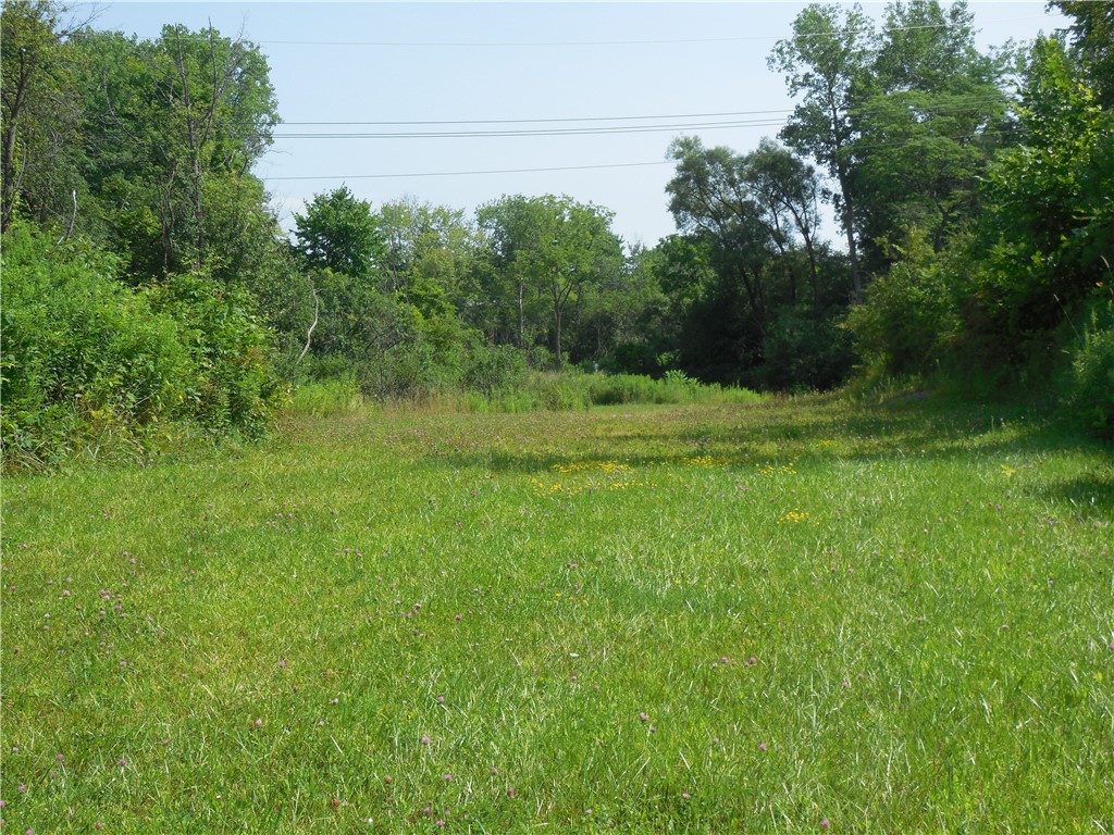 15 West Clymer Street Auburn, NY 13021 - Photo 12 of 17