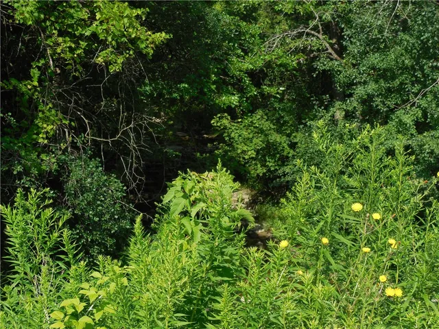 $495,000 | 15 West Clymer Street, Auburn, NY 13021