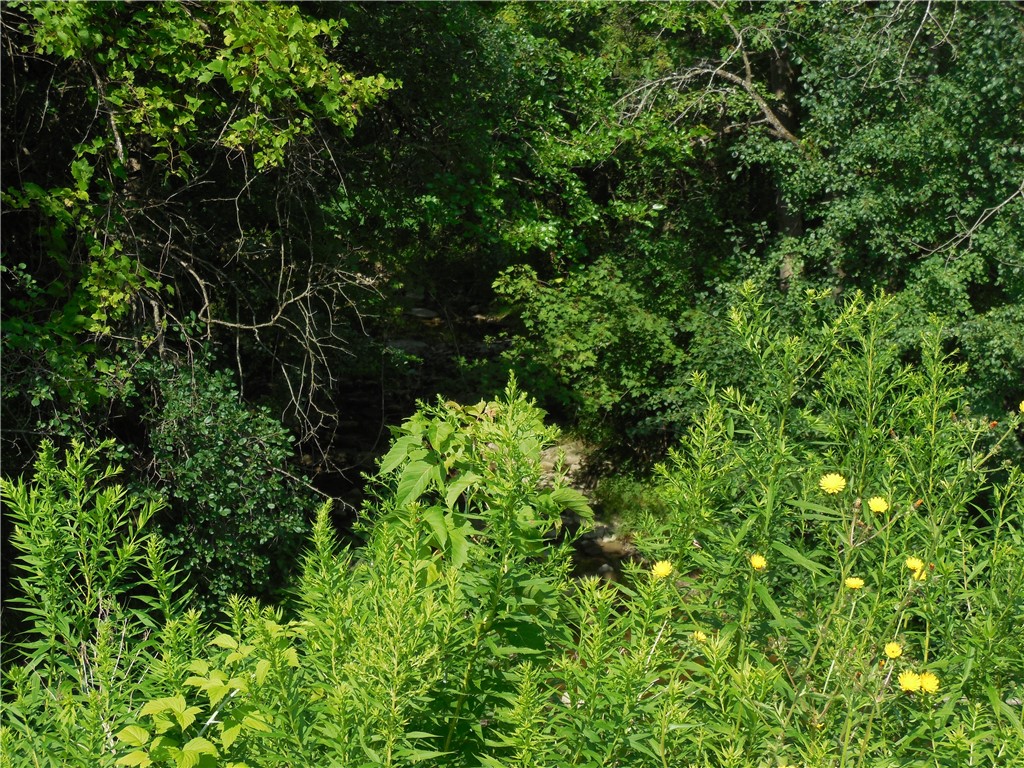 15 West Clymer Street Auburn, NY 13021 - Photo 14 of 17