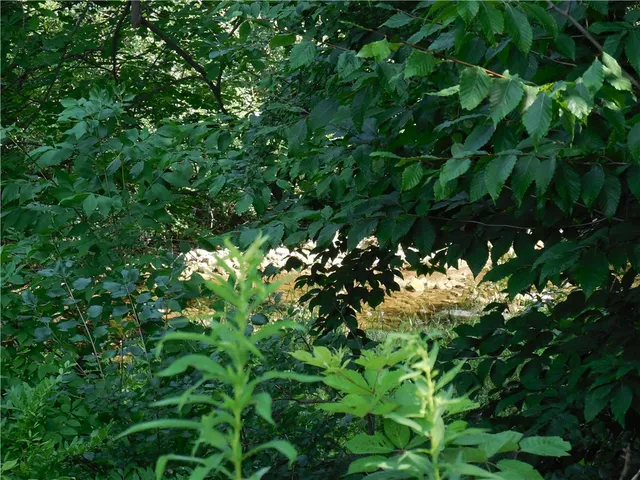 $495,000 | 15 West Clymer Street, Auburn, NY 13021