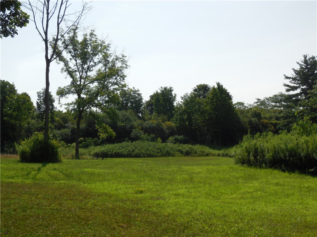 15 West Clymer Street Auburn, NY 13021 - Photo 16 of 17