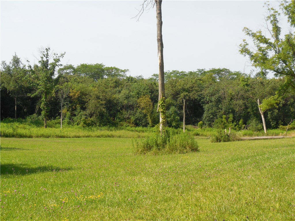 15 West Clymer Street Auburn, NY 13021 - Photo 17 of 17