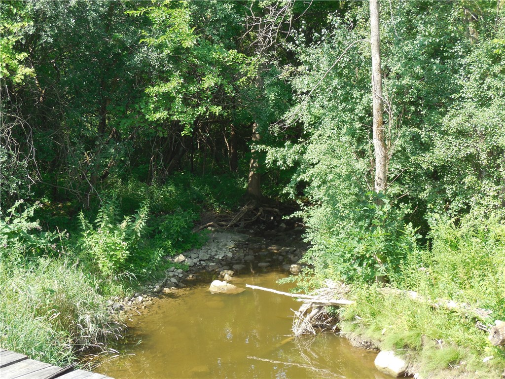 15 West Clymer Street Auburn, NY 13021 - Photo 10 of 17