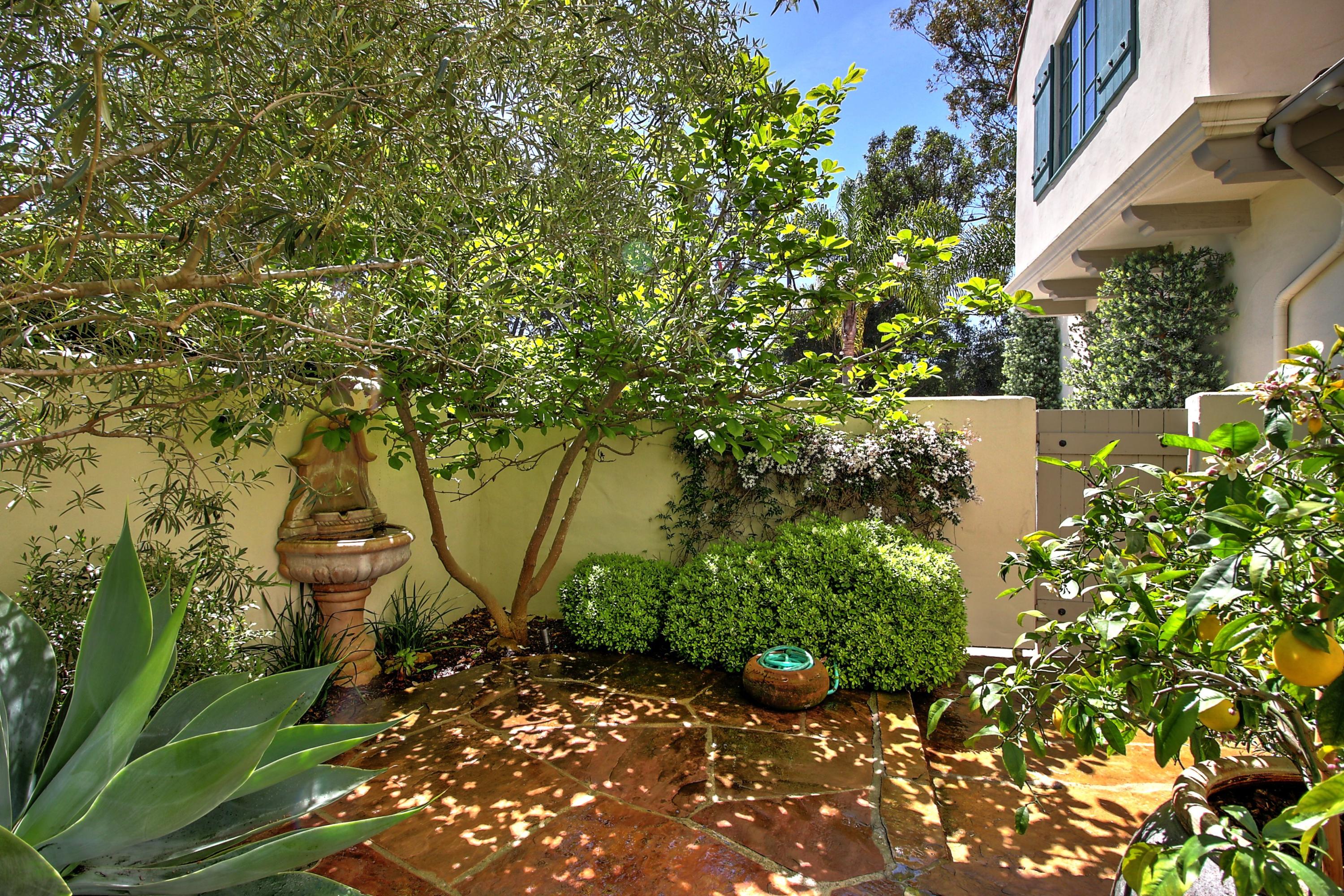 71 Olive Mill Road Montecito, CA 93108 - Photo 20 of 22 a view of a garden with plants and large trees