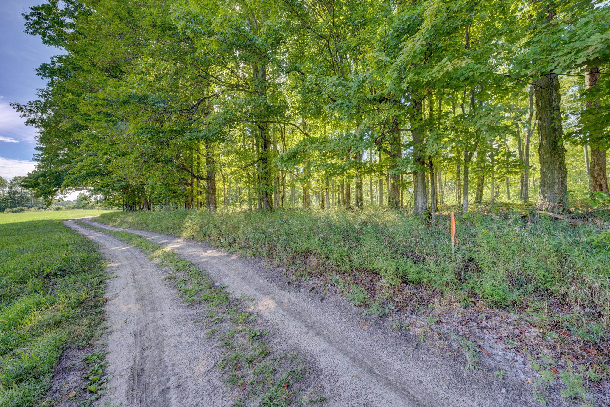 3483 Kiessel Road Central Lake, MI 49622 - Photo 11 of 52 1950663-e1dde30e-e8f3-4ccf-ba82-db1caa90a73f.JPG