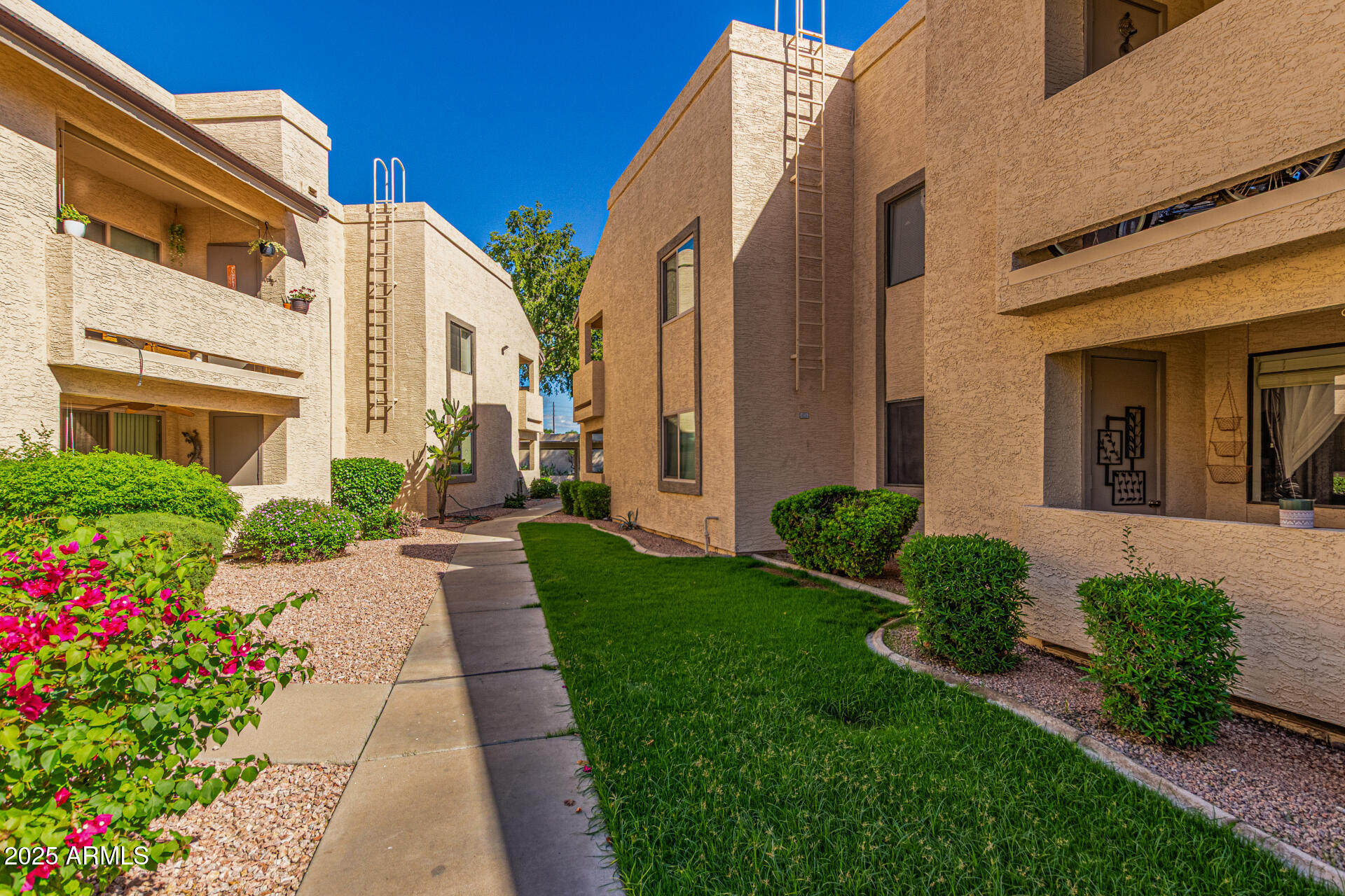 145 North 74th Street, Unit 127 Mesa, AZ 85207 - Photo 28 of 34 a view of a back yard of the house