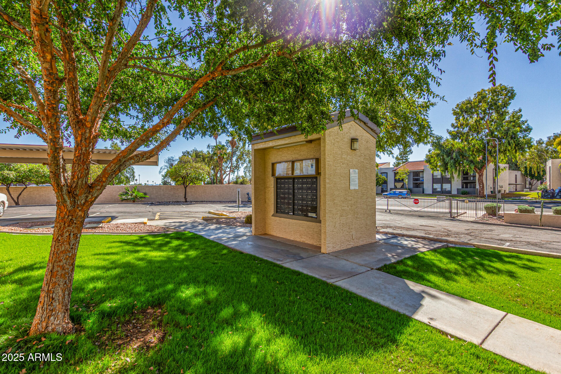 145 North 74th Street, Unit 127 Mesa, AZ 85207 - Photo 33 of 34 a view of a house with backyard and a tree
