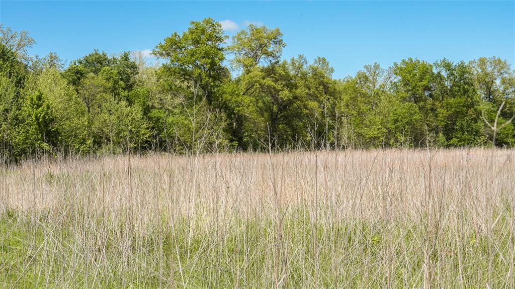 Knox Road Marceline, MO 64658 - Photo 8 of 30 Gallery Image 8