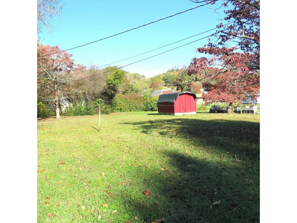 1612 Wendover Road Bristol, VA 24201 - Photo 4 of 26 back yard
