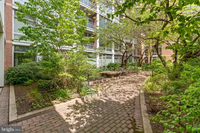 a view of a chairs and tables in the backyard