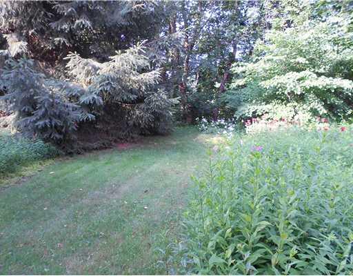 1234 Old Concord Road Monroeville, PA 15146 - Photo 18 of 18 Yard/Garden. Rear Yard