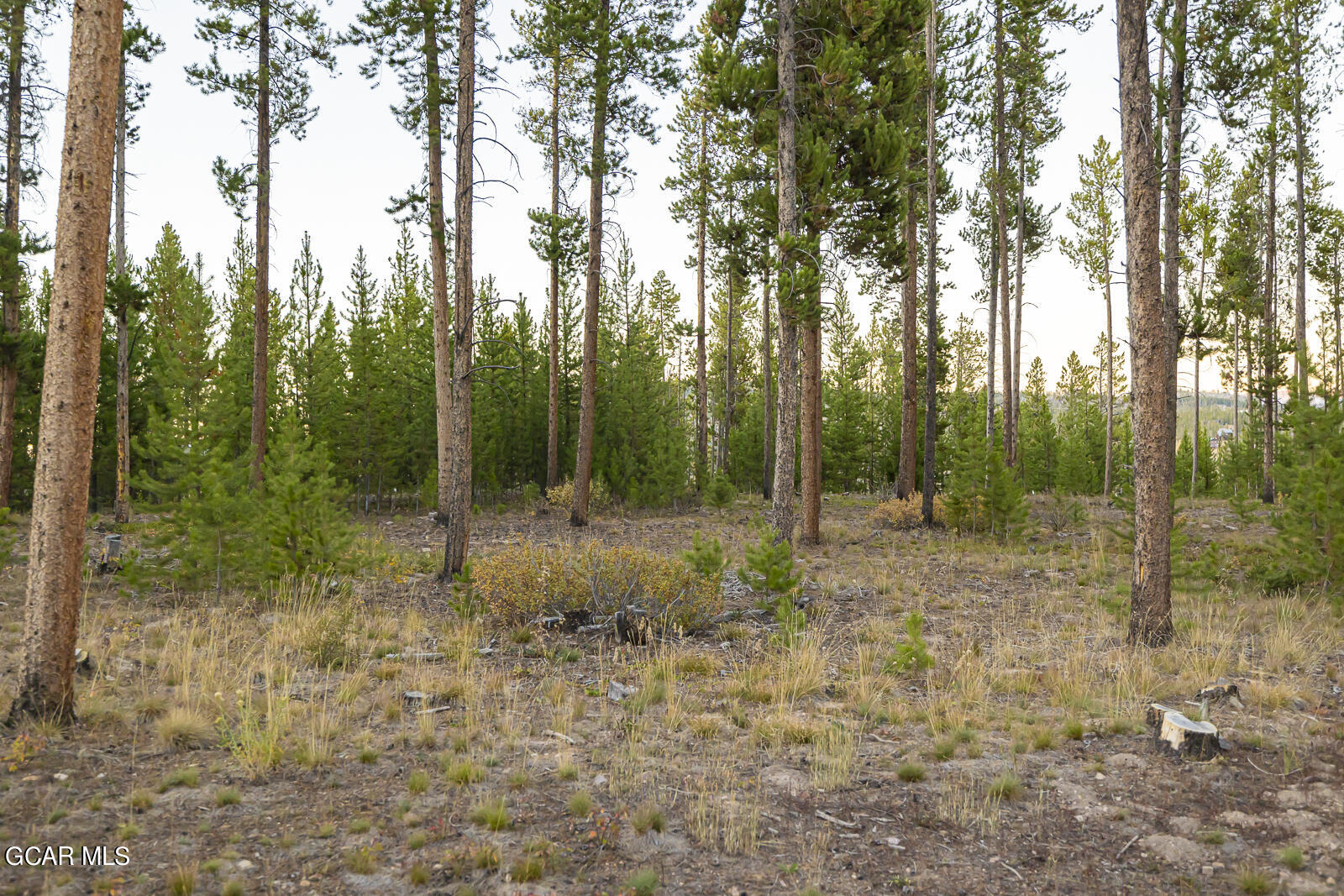 3004 Golf Course Circle Tabernash, CO 80478 - Photo 4 of 16 10.4.24 3004 Golf Course Cir-3