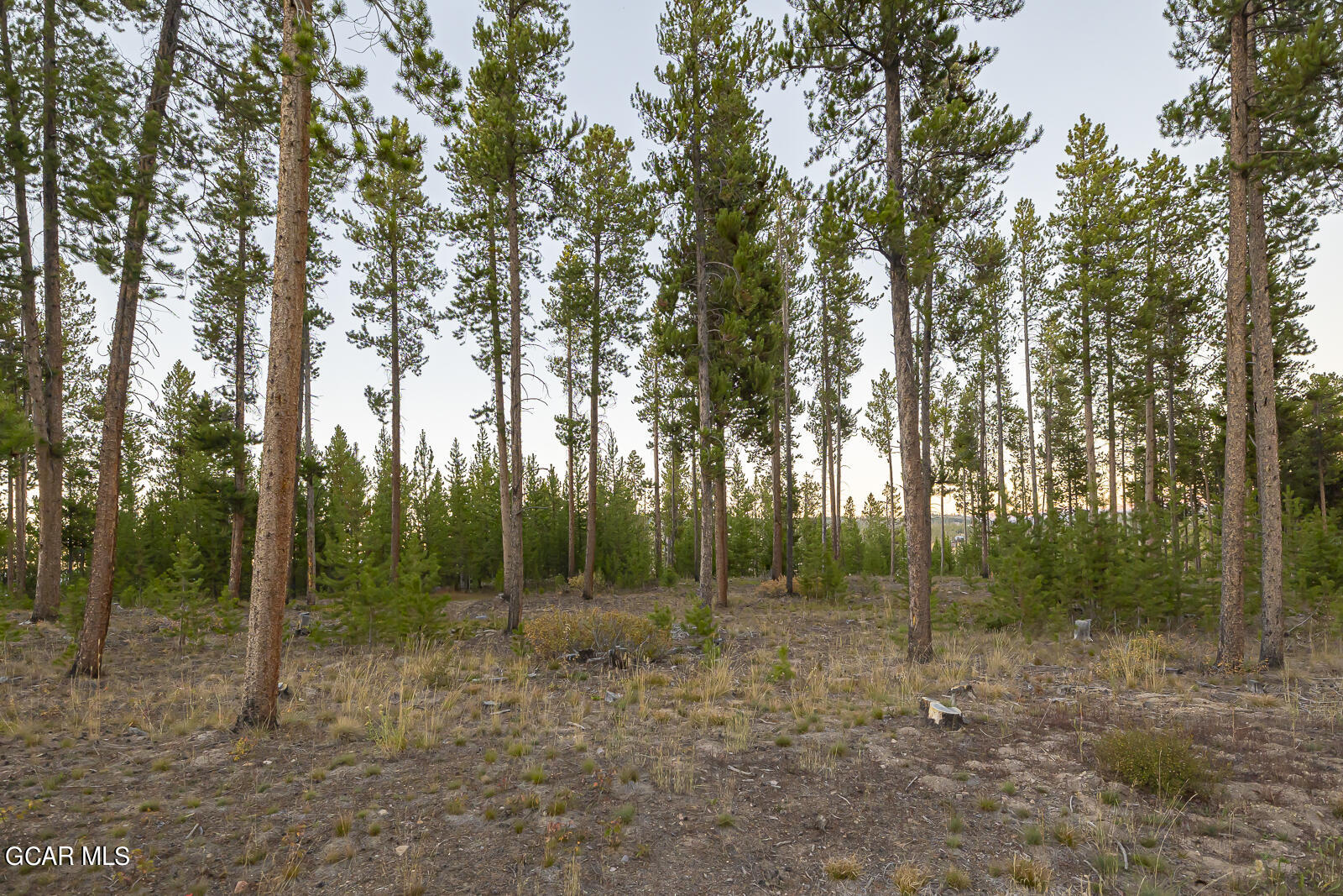 3004 Golf Course Circle Tabernash, CO 80478 - Photo 5 of 16 10.4.24 3004 Golf Course Cir-4