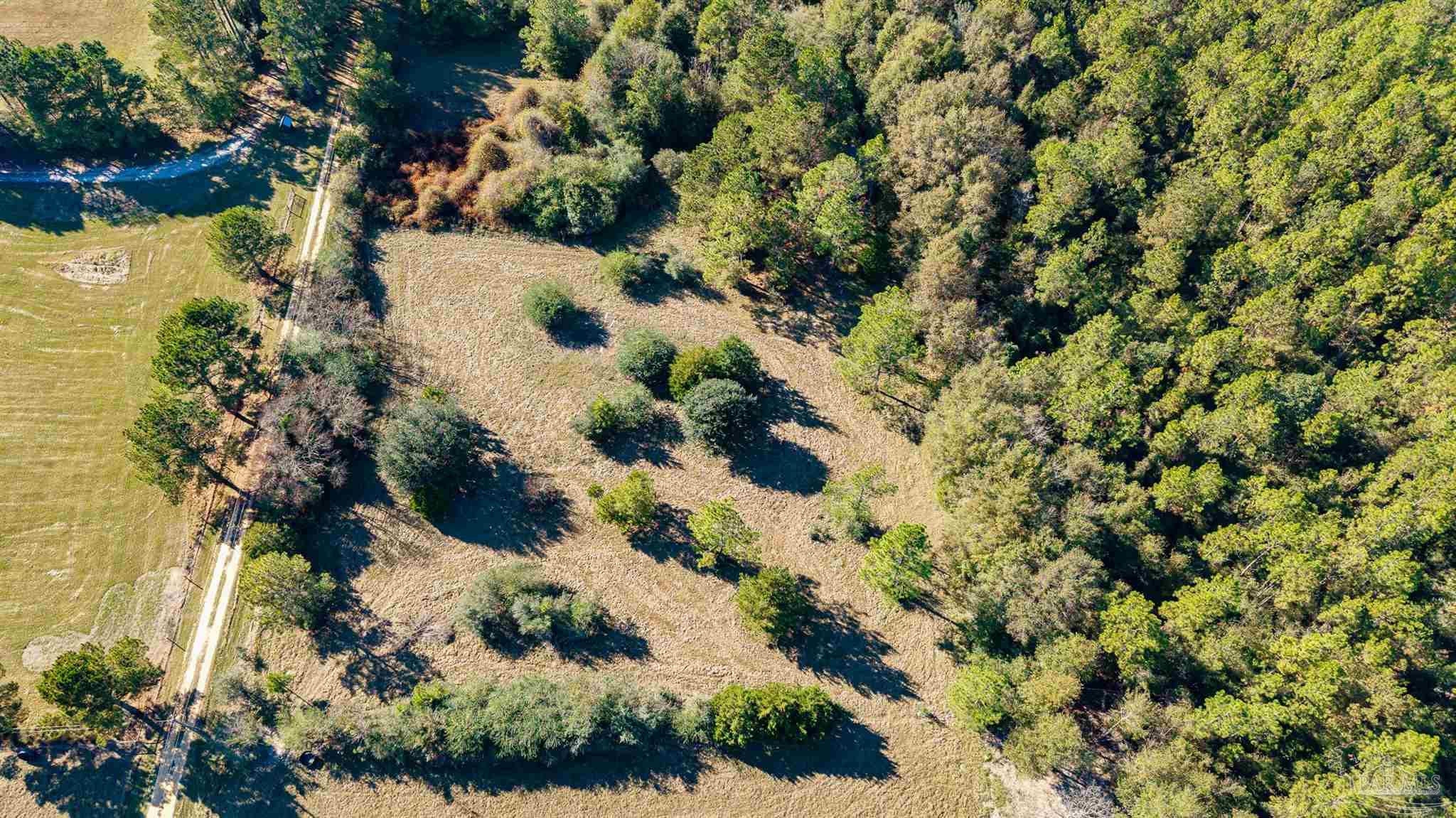 1756 Jacks Branch Road Cantonment, FL 32533 - Photo 16 of 29 a view of a garden with plants