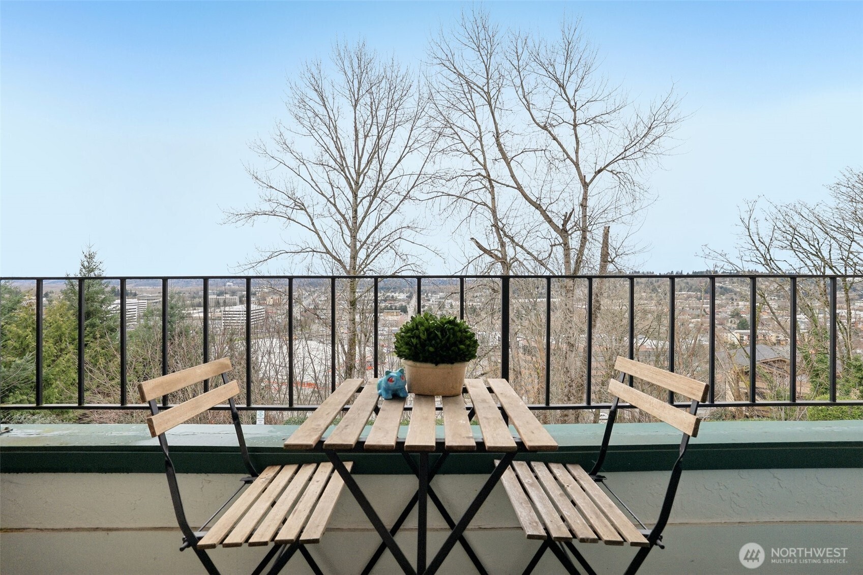 629 Cedar Avenue South, Unit A202 Renton, WA 98057 - Photo 23 of 29