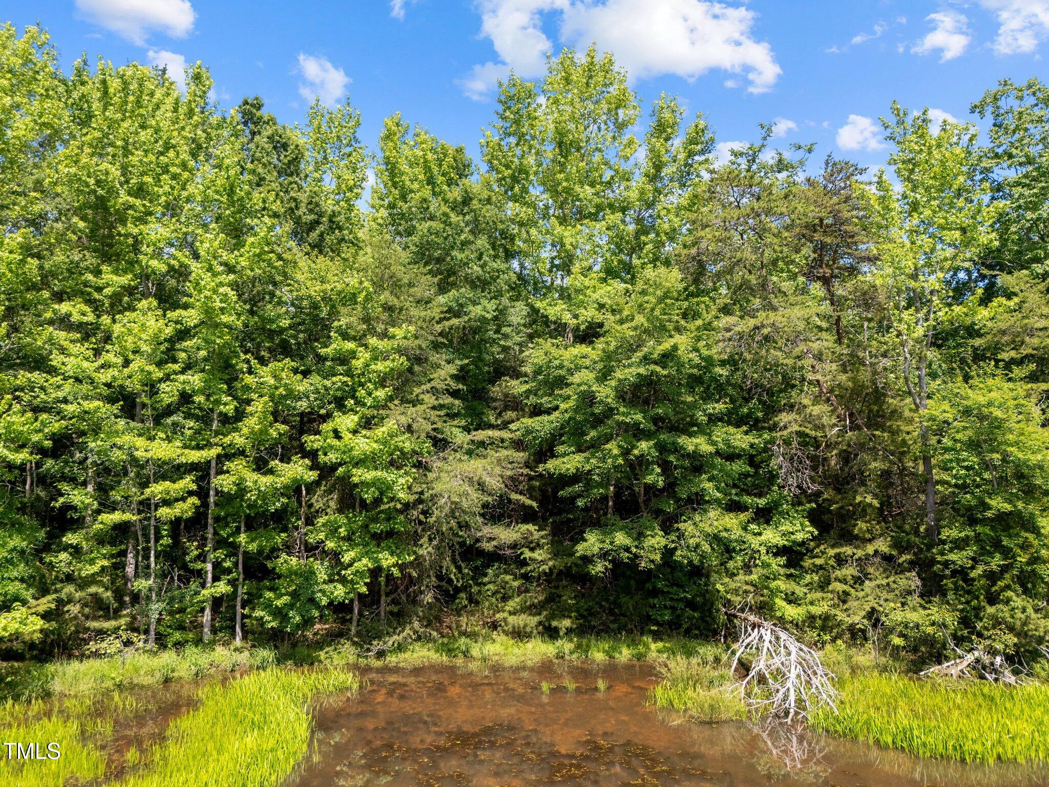 112 Scnobia Taylor Road Cedar Grove, NC 27231 - Photo 11 of 14 9-web-or-mls-DJI_20250521150004_0076_D