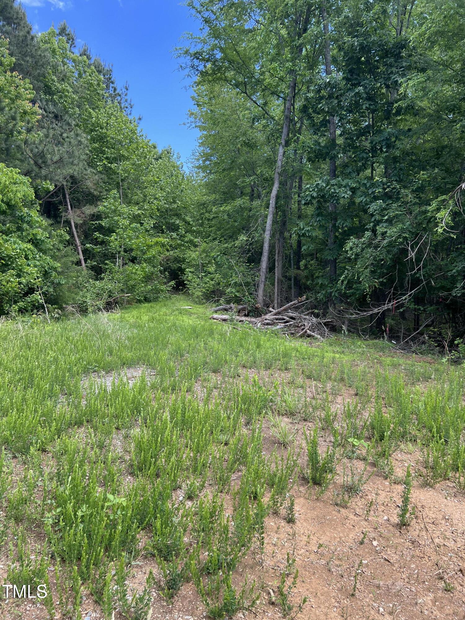 112 Scnobia Taylor Road Cedar Grove, NC 27231 - Photo 4 of 14 Entrance