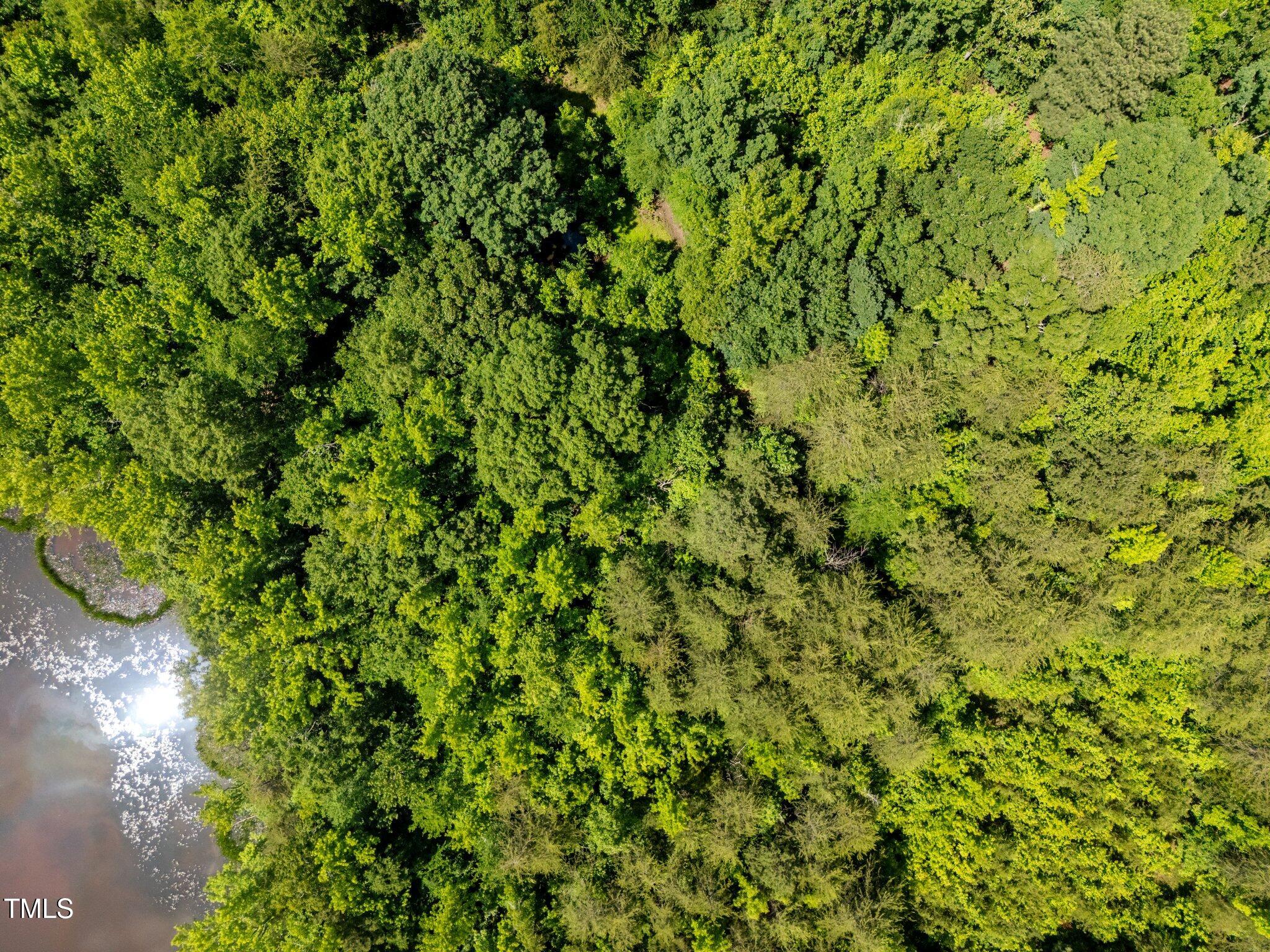 112 Scnobia Taylor Road Cedar Grove, NC 27231 - Photo 7 of 14 5-web-or-mls-DJI_20250521145821_0072_D