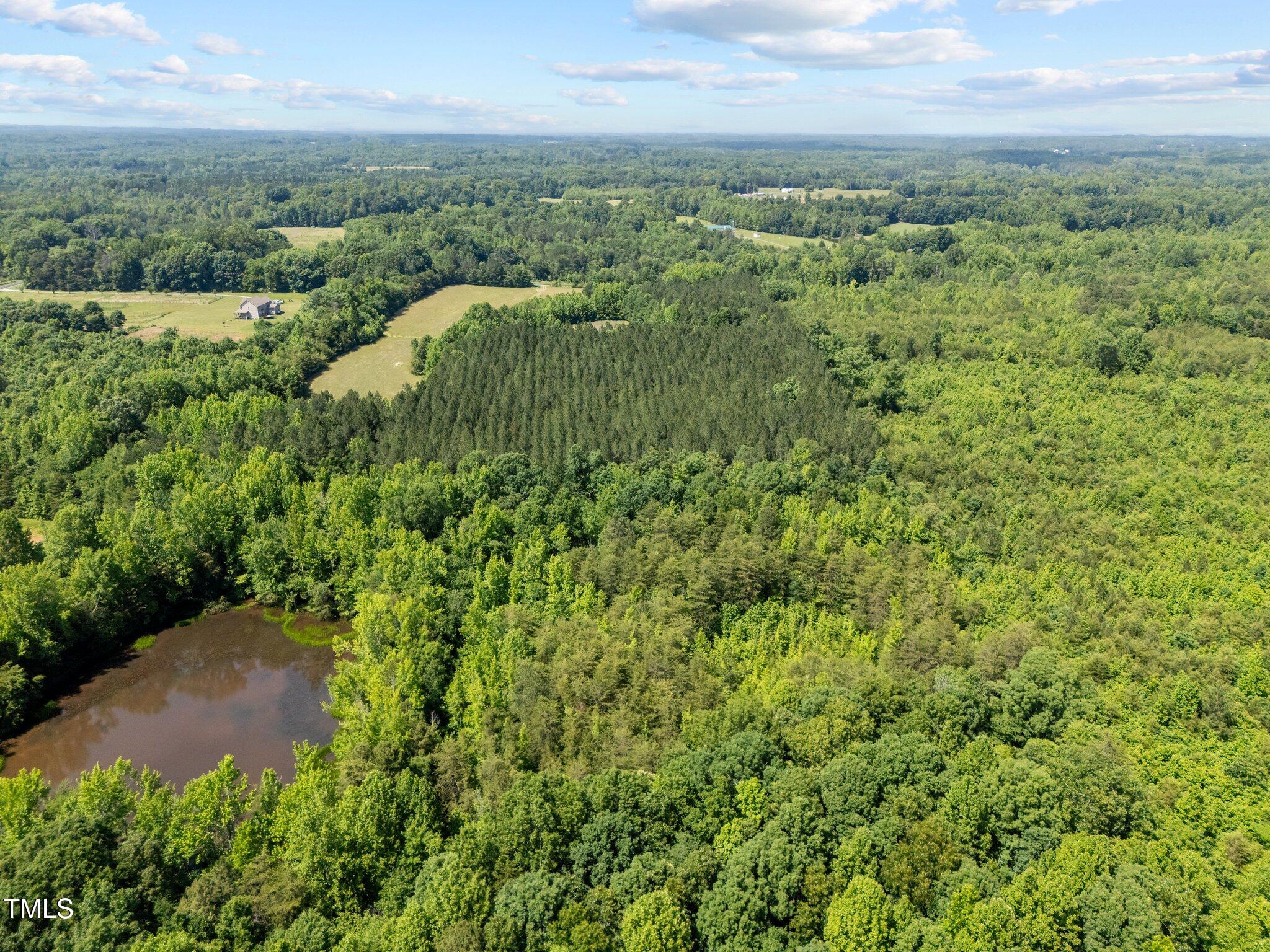 112 Scnobia Taylor Road Cedar Grove, NC 27231 - Photo 10 of 14 8-web-or-mls-DJI_20250521145922_0075_D