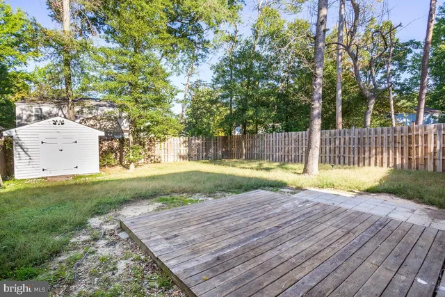 a view of a yard with plants and large trees