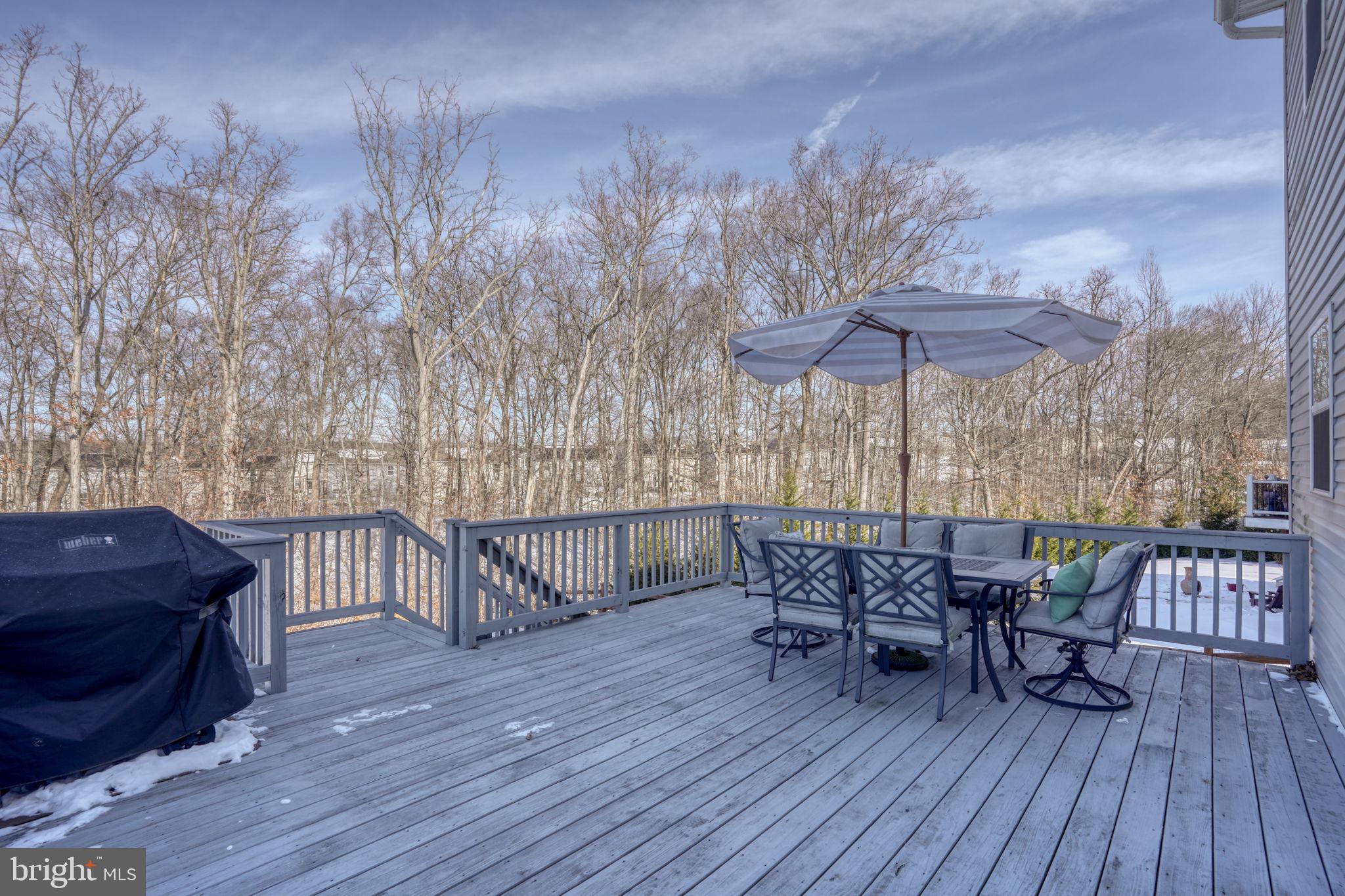 9 Spirea Court Elkton, MD 21921 - Photo 34 of 39