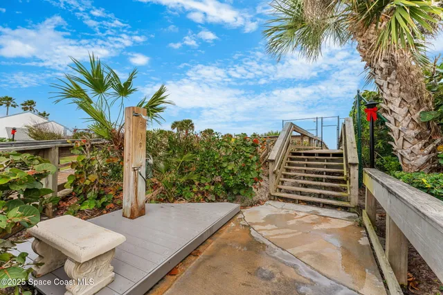 a view of a backyard with plants and a potted plant