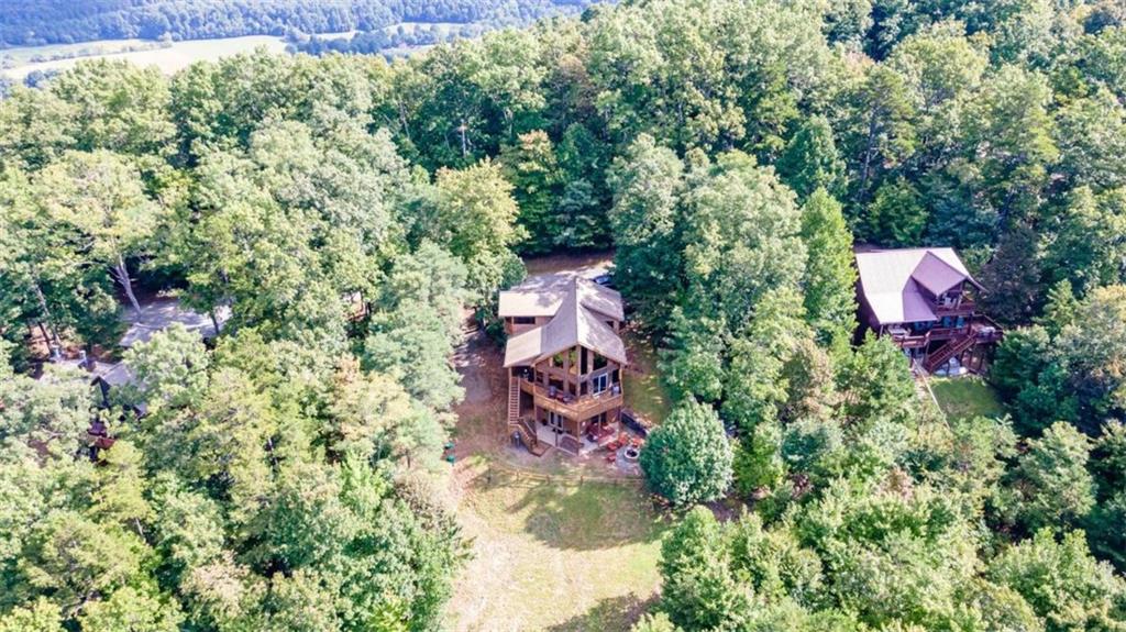 192 Oak Ridge Way Morganton, GA 30560 - Photo 5 of 56 an aerial view of residential house with outdoor space and trees all around