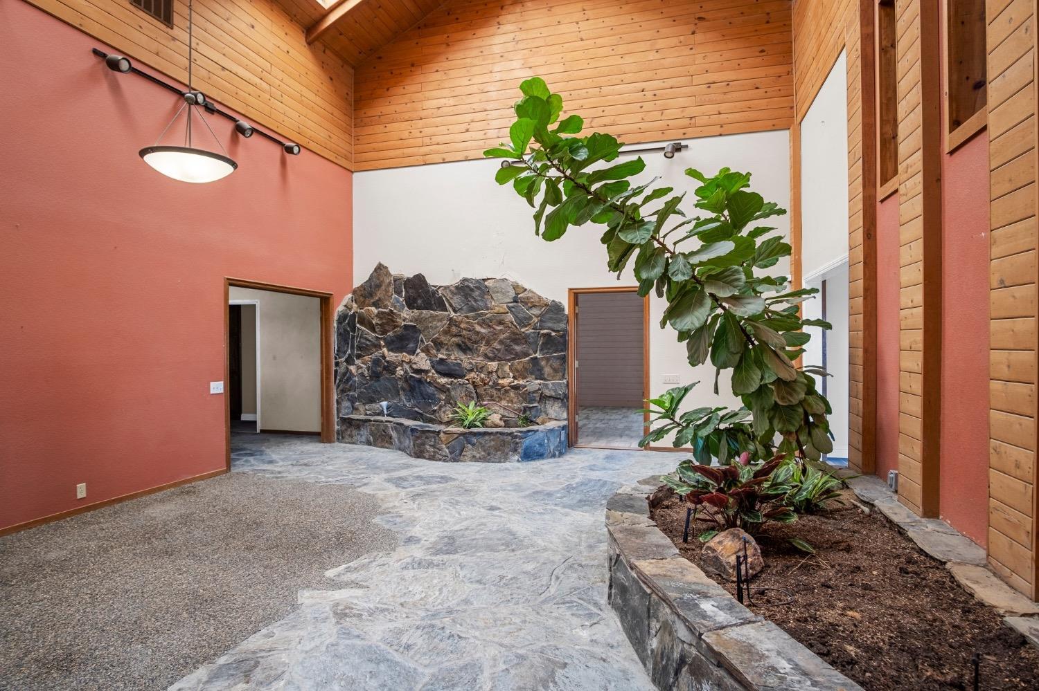 17164 Keyes Road Snelling, CA 95369 - Photo 21 of 51 a view of a plants with a bench