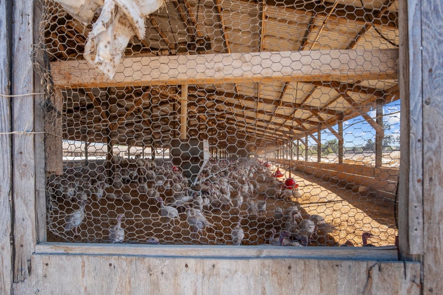 17164 Keyes Road Snelling, CA 95369 - Photo 44 of 51