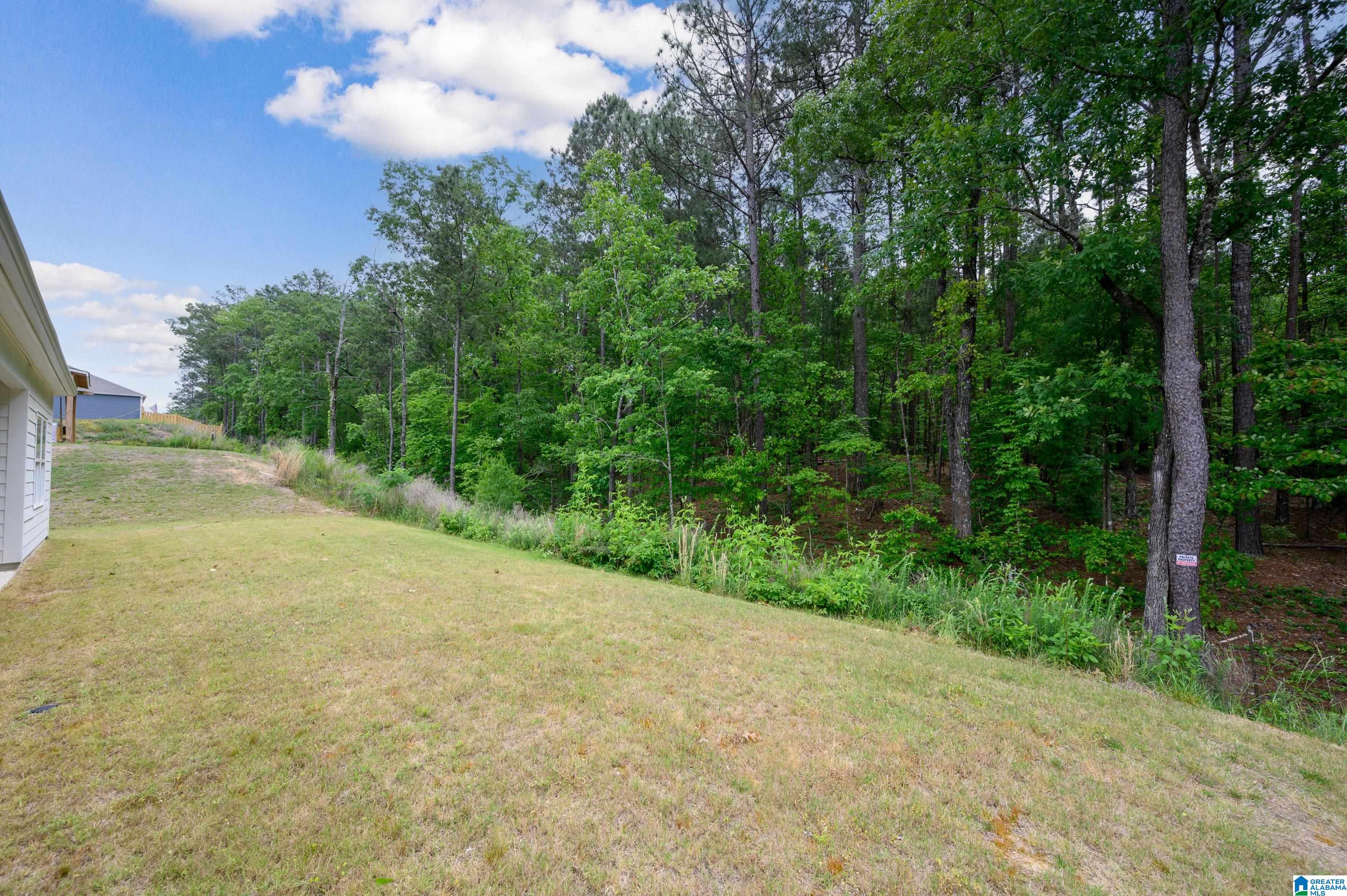 709 Fish Camp Road Chelsea, AL 35043 - Photo 22 of 27 Gallery Image 22