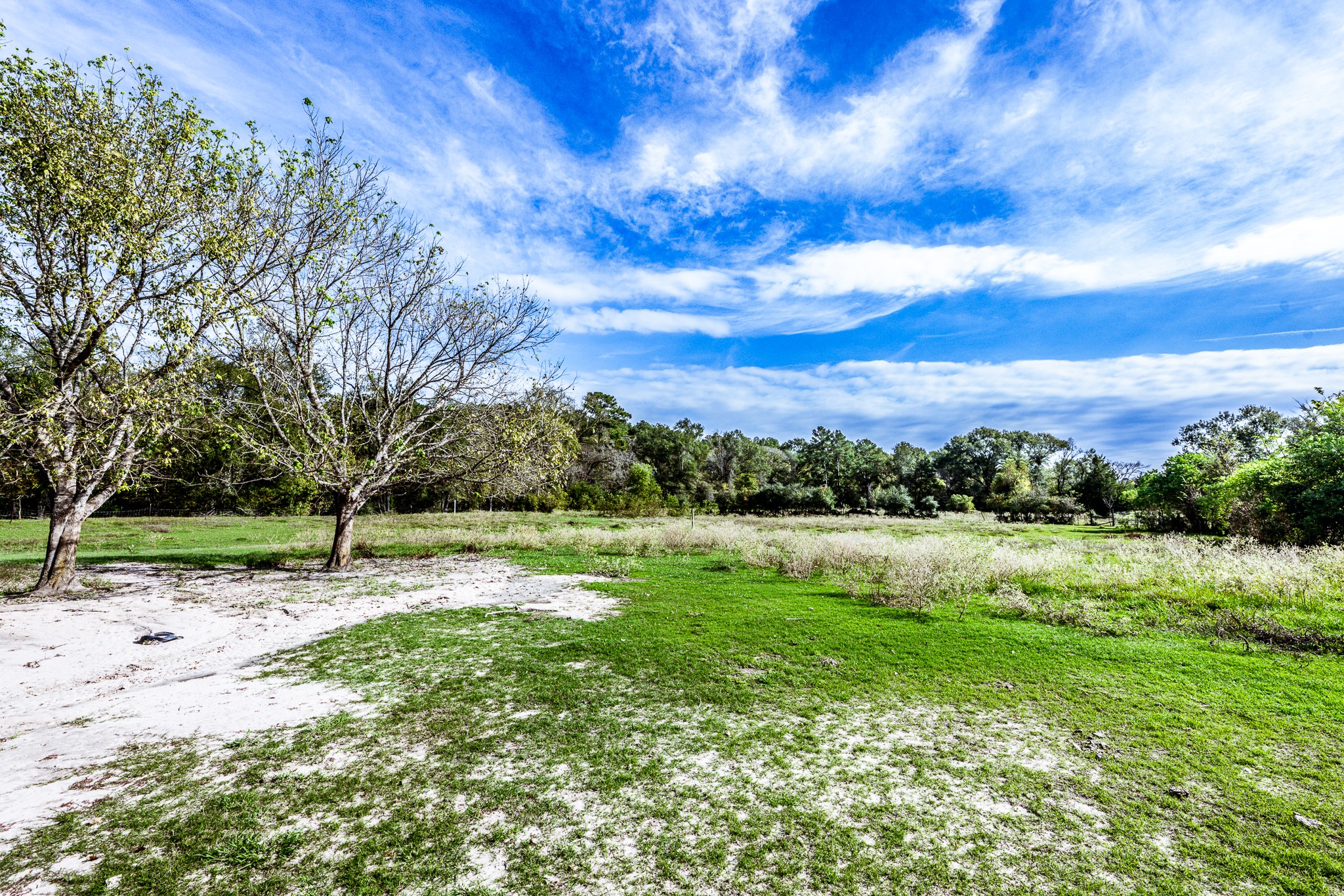 290 Townley Ranch Road Huntsville, TX 77320 - Photo 42 of 50