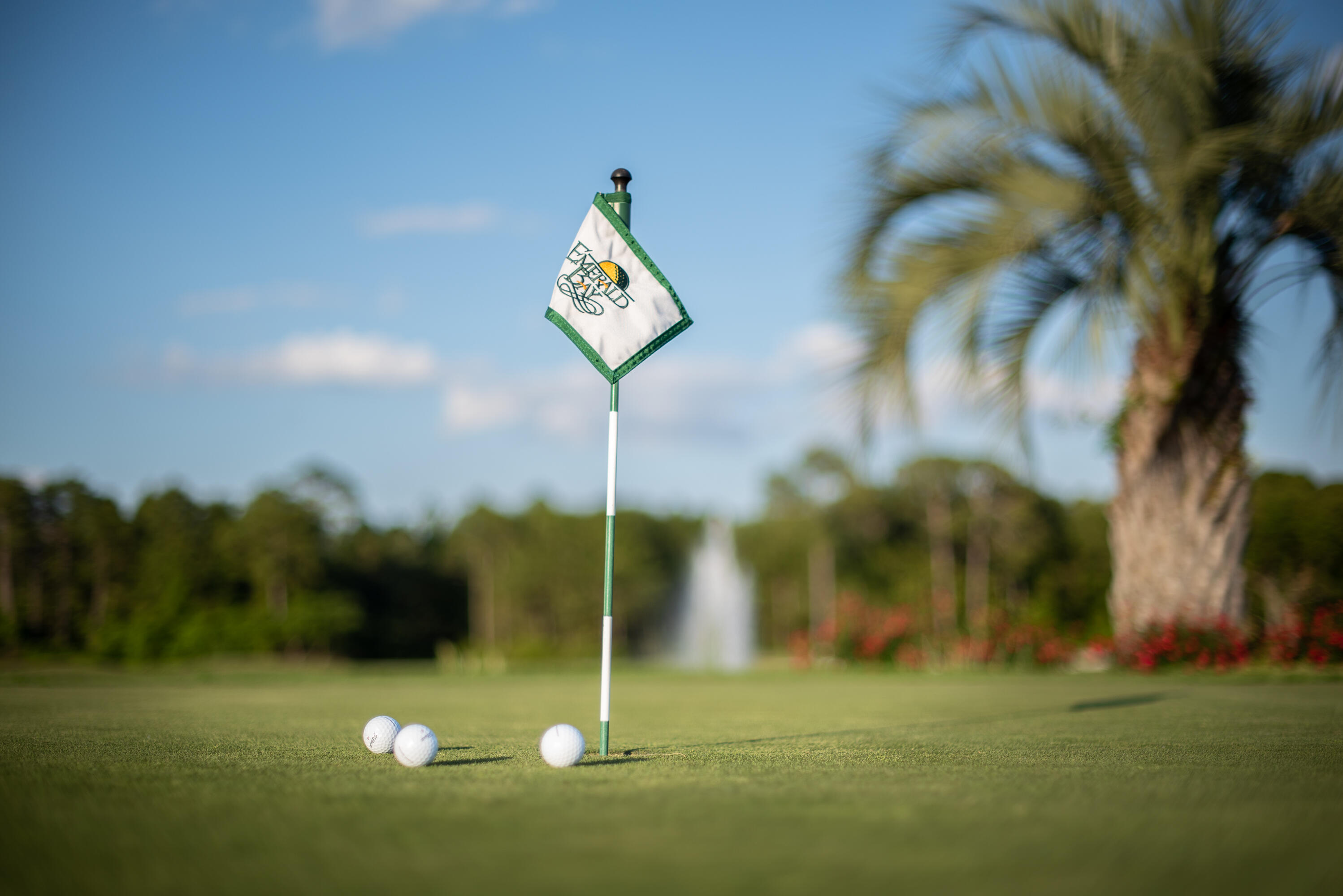 244 Indigo Loop Destin, FL 32550 - Photo 38 of 41 a view of a wooden fence