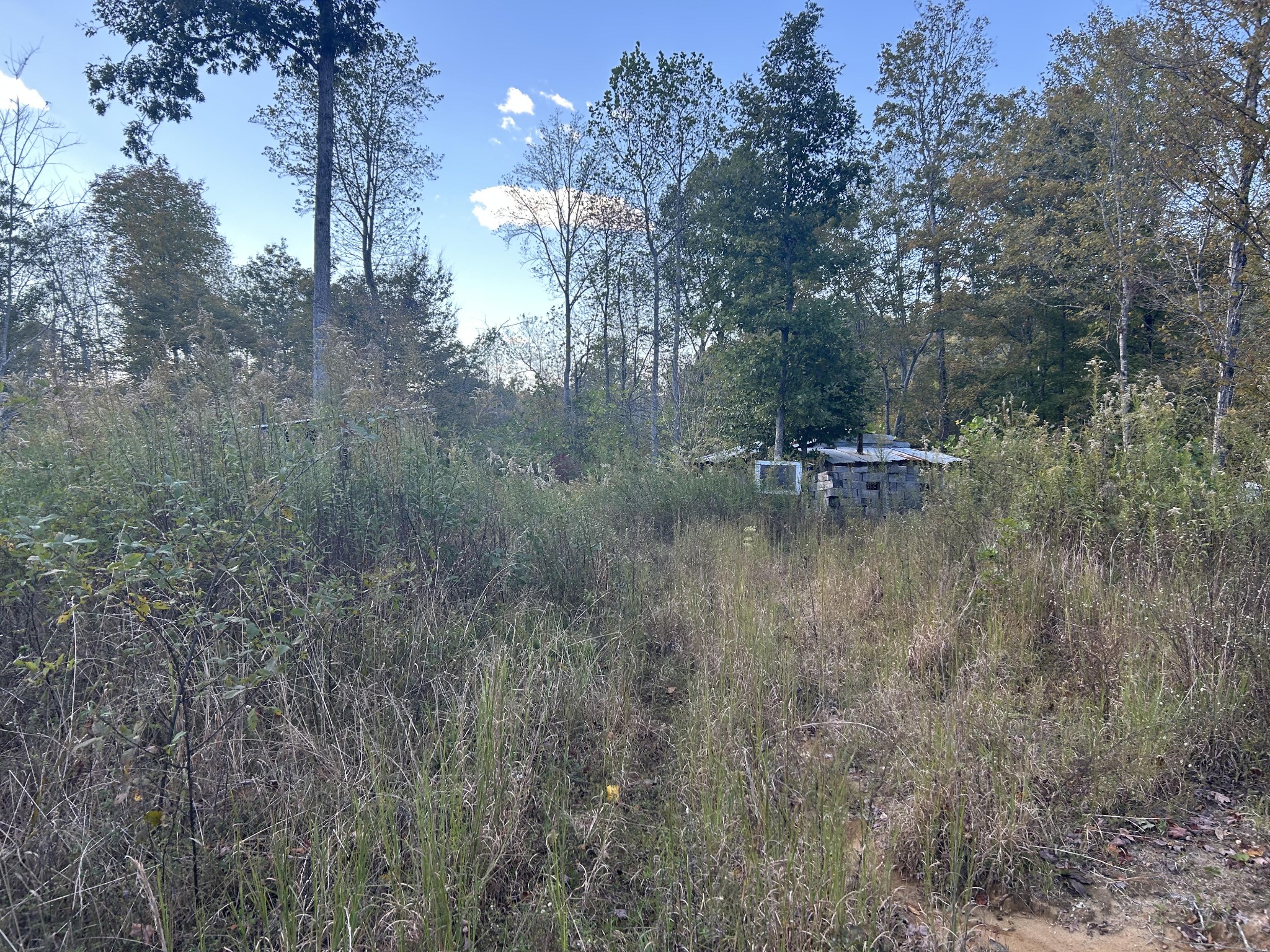 769 Preston Baggett Road Cumberland City, TN 37050 - Photo 1 of 3 a view of a forest with trees in the background