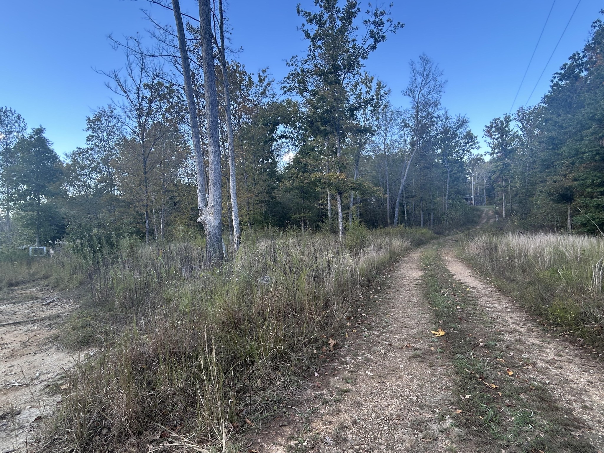 769 Preston Baggett Road Cumberland City, TN 37050 - Photo 2 of 3 a view of a forest with lots of bushes