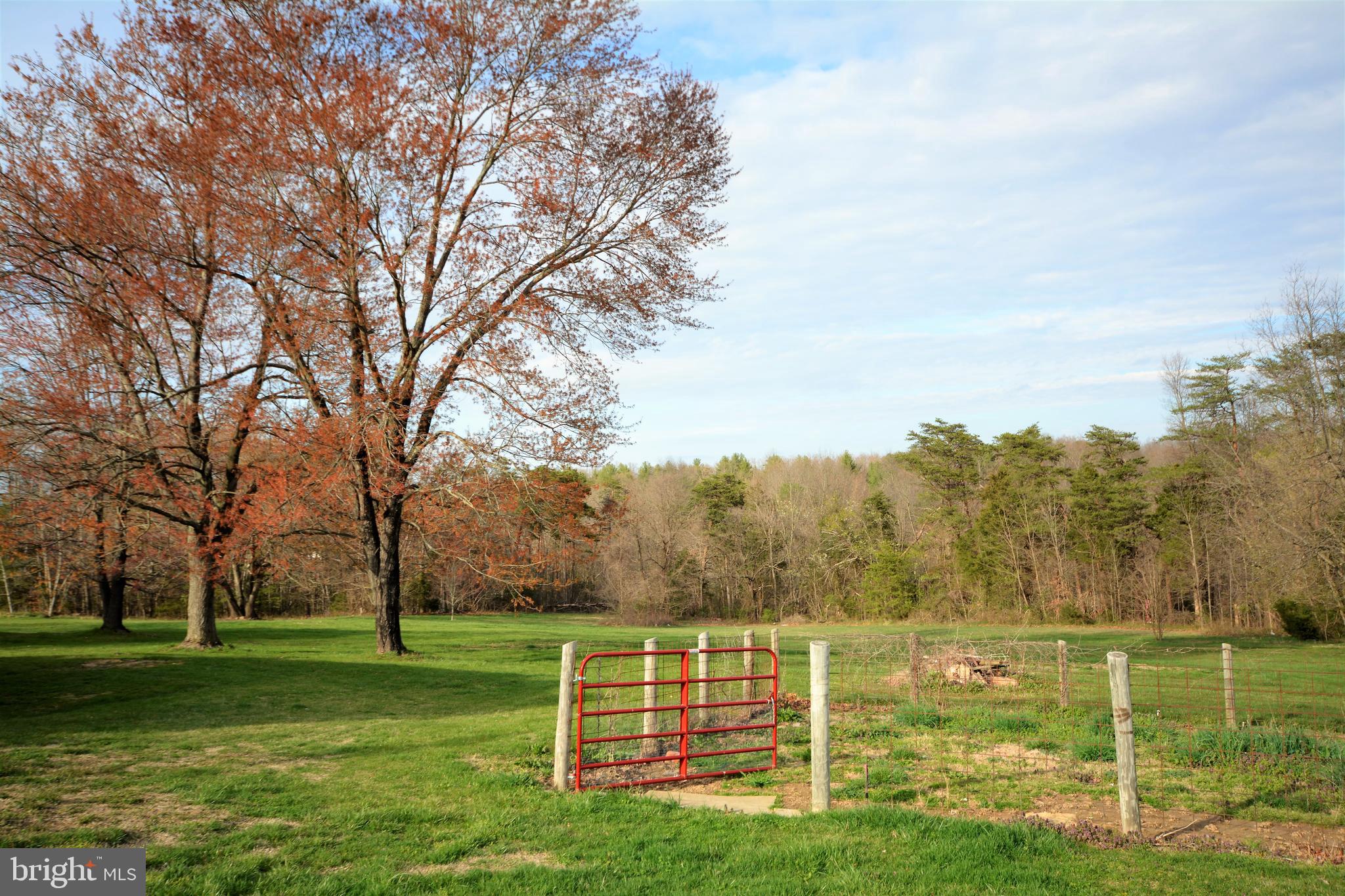 1339 Wakeman Mill Road Front Royal, VA 22630 - Photo 44 of 45 Fenced area for dog.
