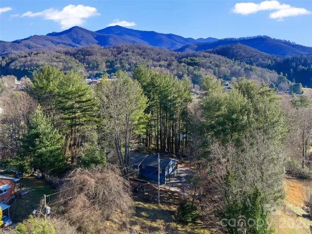 a view of a lush green hillside and a houses