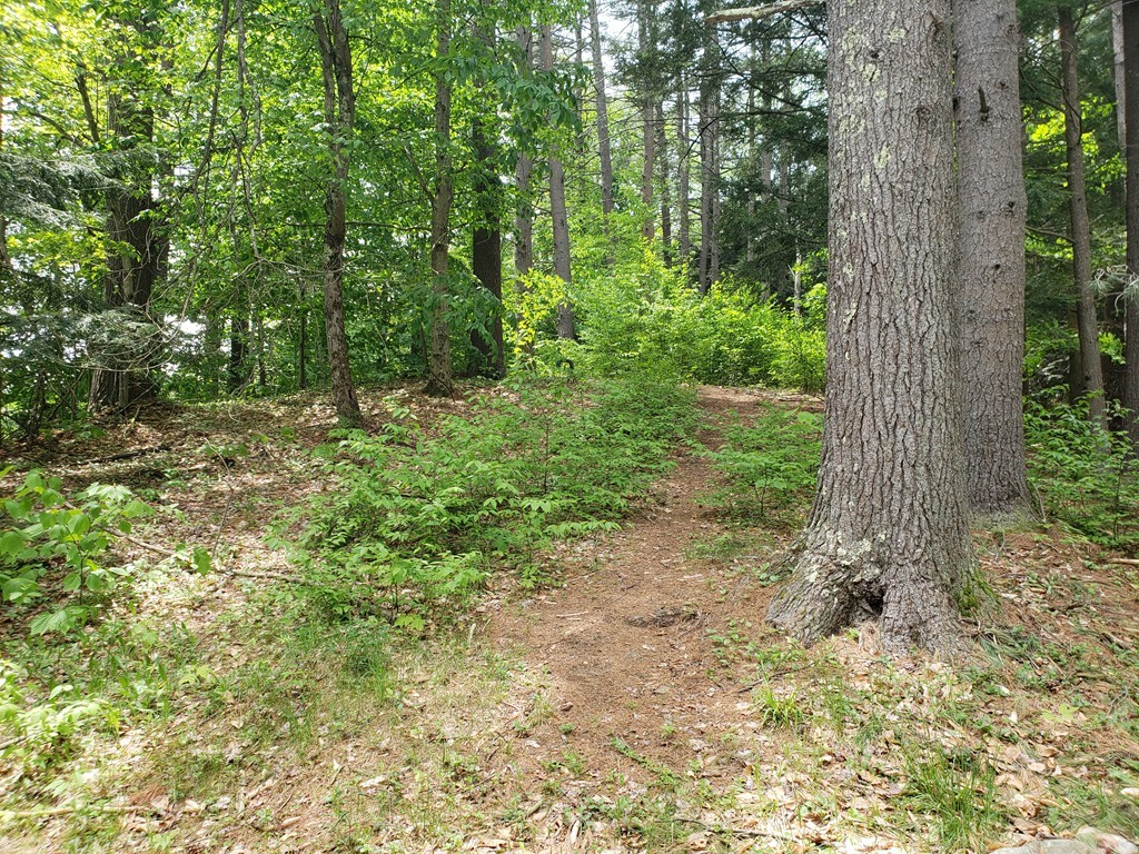 136 Holtshire Road Orange, MA 01364 - Photo 21 of 22 Gallery Image 21