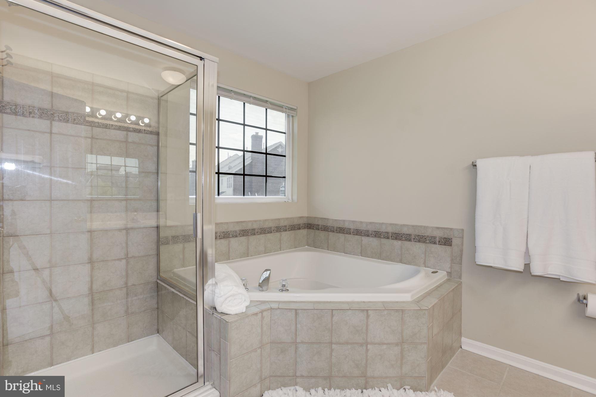 629 Springhouse Square Southeast Leesburg, VA 20175 - Photo 18 of 29 spa tub
