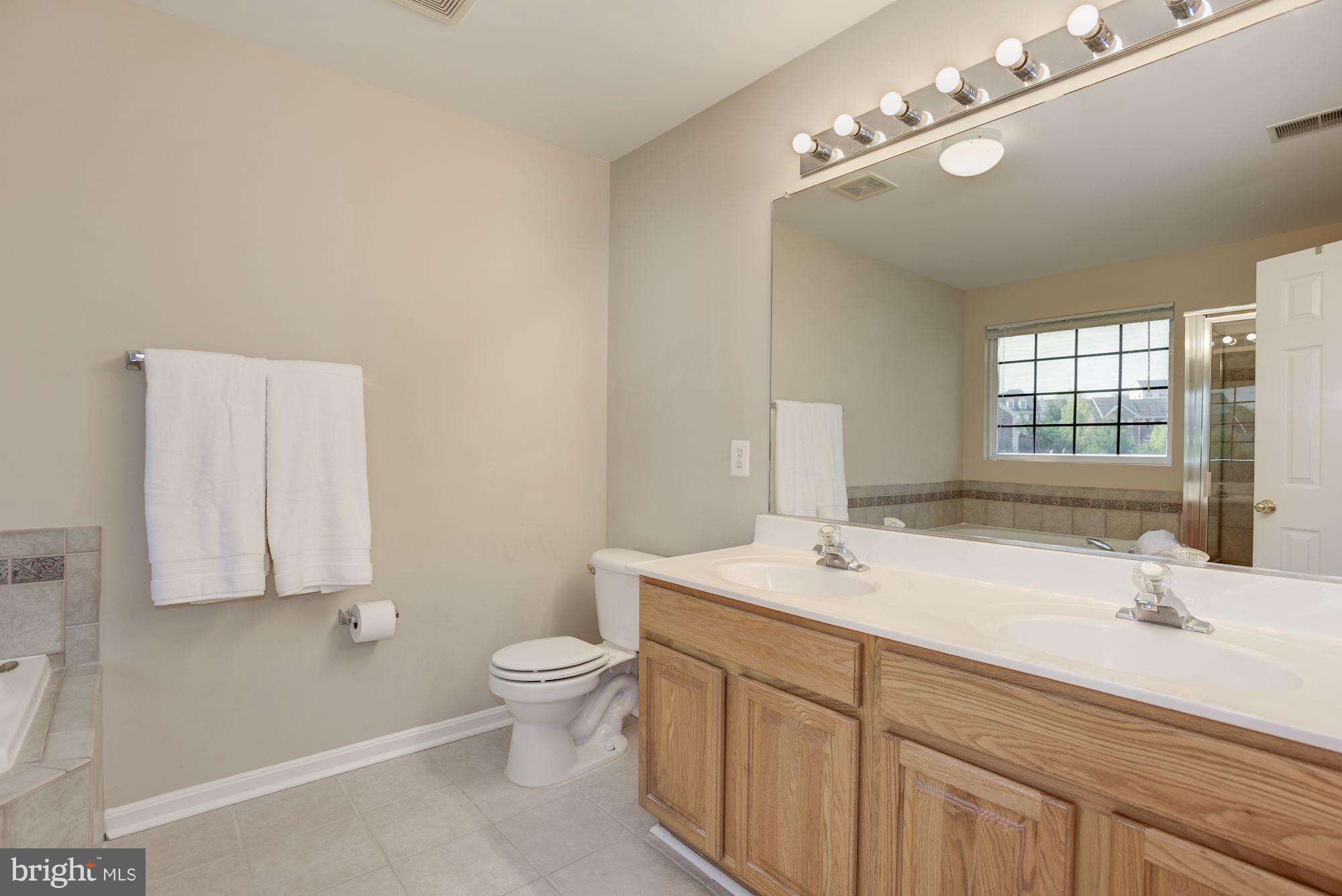 629 Springhouse Square Southeast Leesburg, VA 20175 - Photo 19 of 29 double vanity, spa tub and separate shower